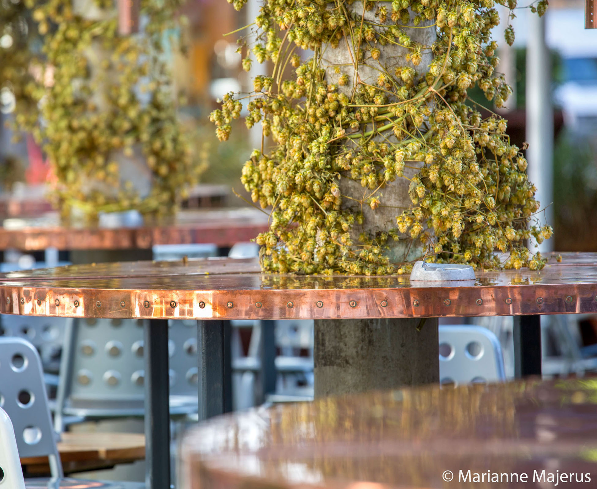 The built in copper tables were designed and hand made to fit in the existing pergola structure. They are complemented by tall chairs to make the whole area more seating friendly in the Bluebird Courtyard. 