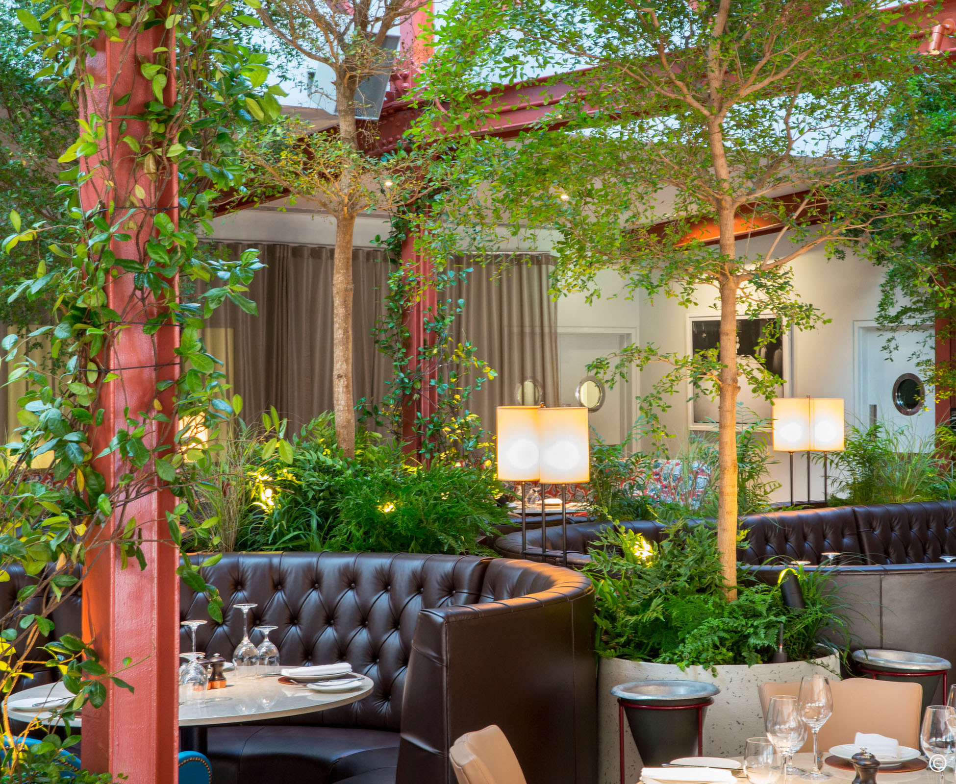 Some Bucida buceras trees and some climbing plants frame the dining area, covering some of the original steel girders from the ancient Bluebird garage. The soft underplanting is lush and connects the high canopy to the dining tables.