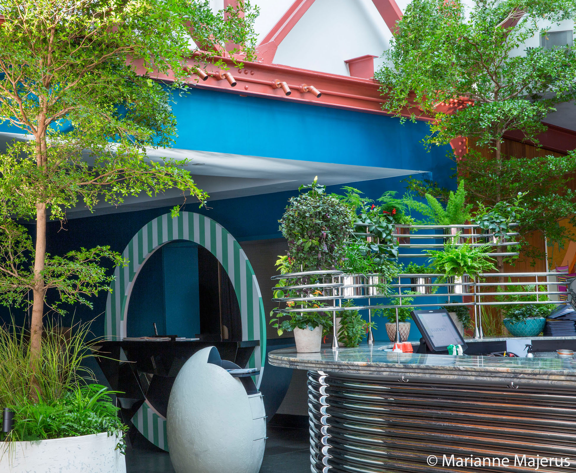 The entrance bar at Bluebird Restaurant has been planted with an eclectic mix of hanging plants and tropical herbaceous to create a sense of uniqueness. 