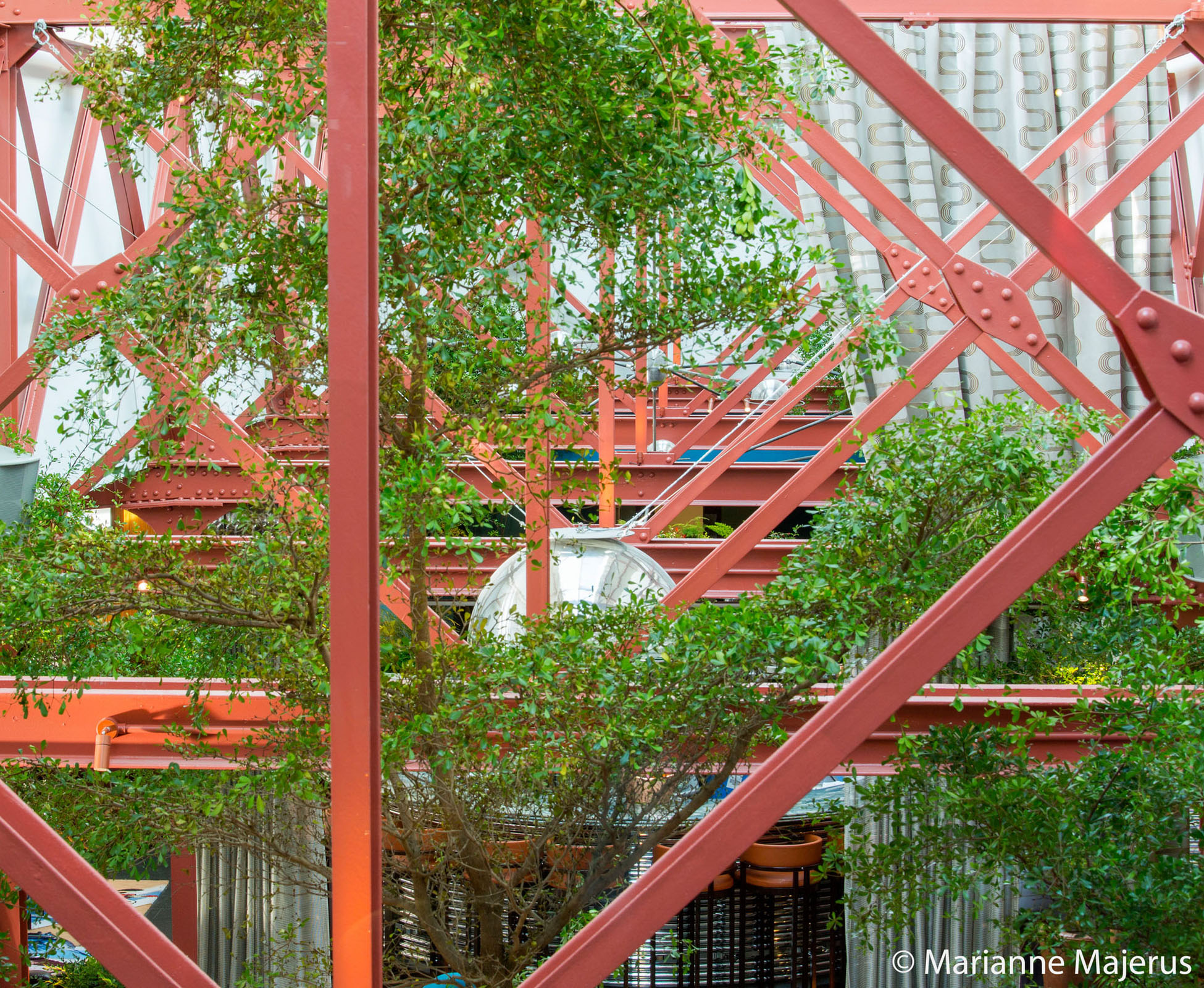 Detail of the steel girders and the glass roof, where the Bucida buceras trees grow happily, developing their light canopy towards the sky.