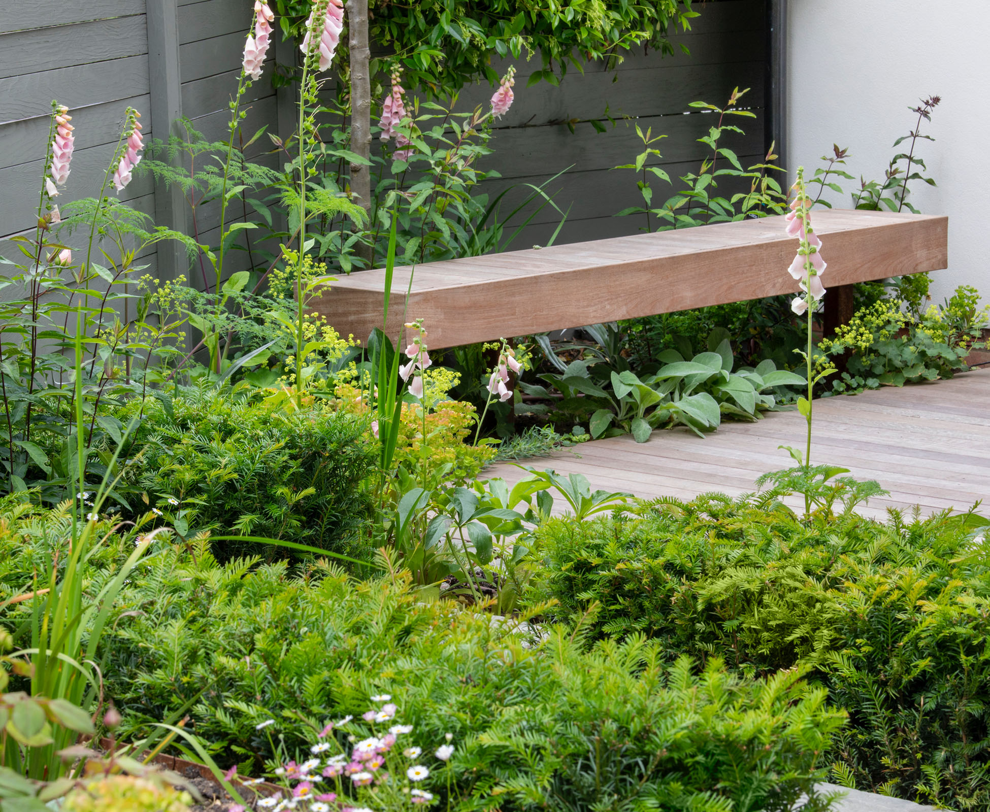 The floating timber bench sits above the deck and is surrounded by lush planting in this Bounds Green Garden.