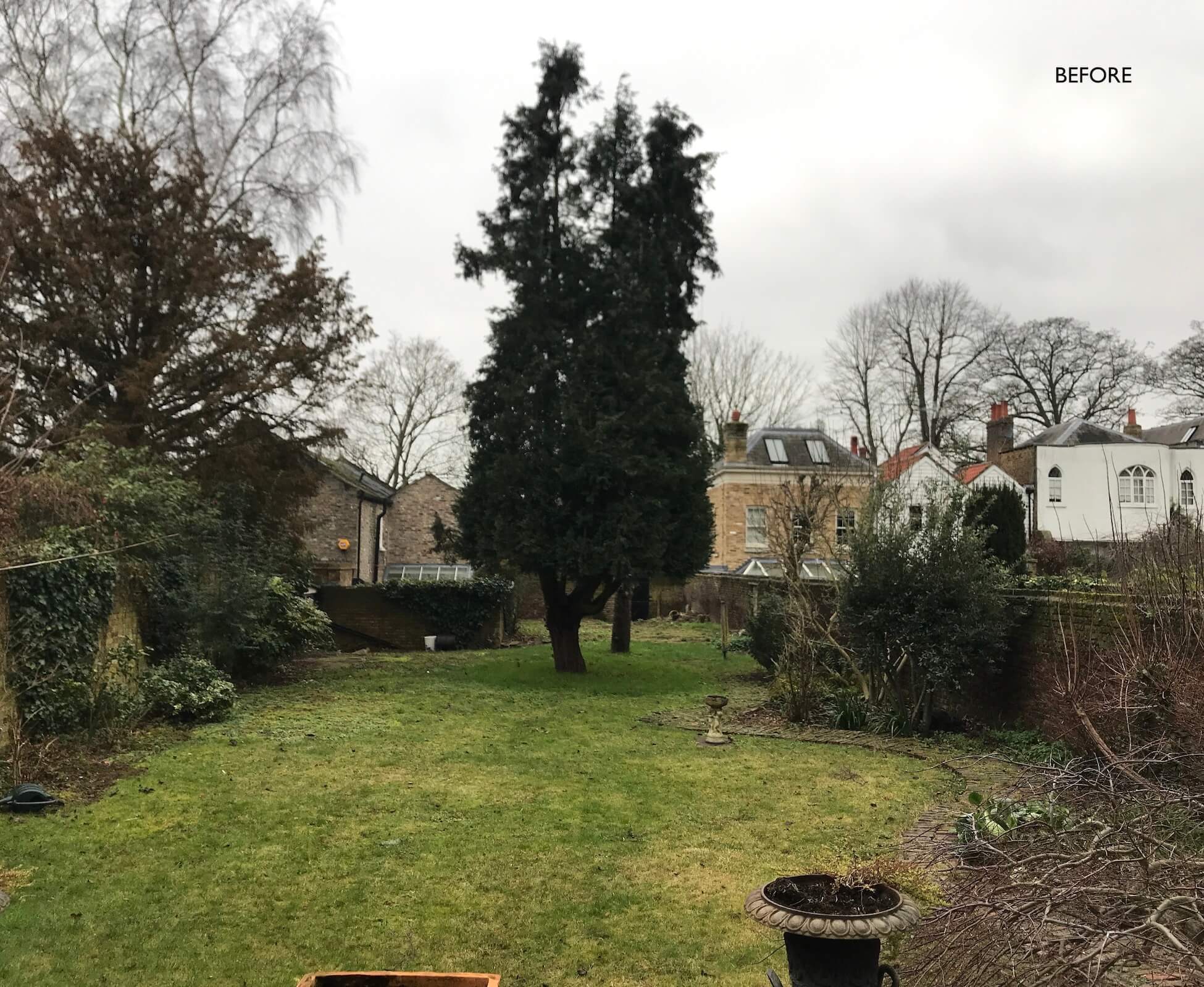 A view of the garden before we began work, showing the mostly blank canvas we had to begin the design.