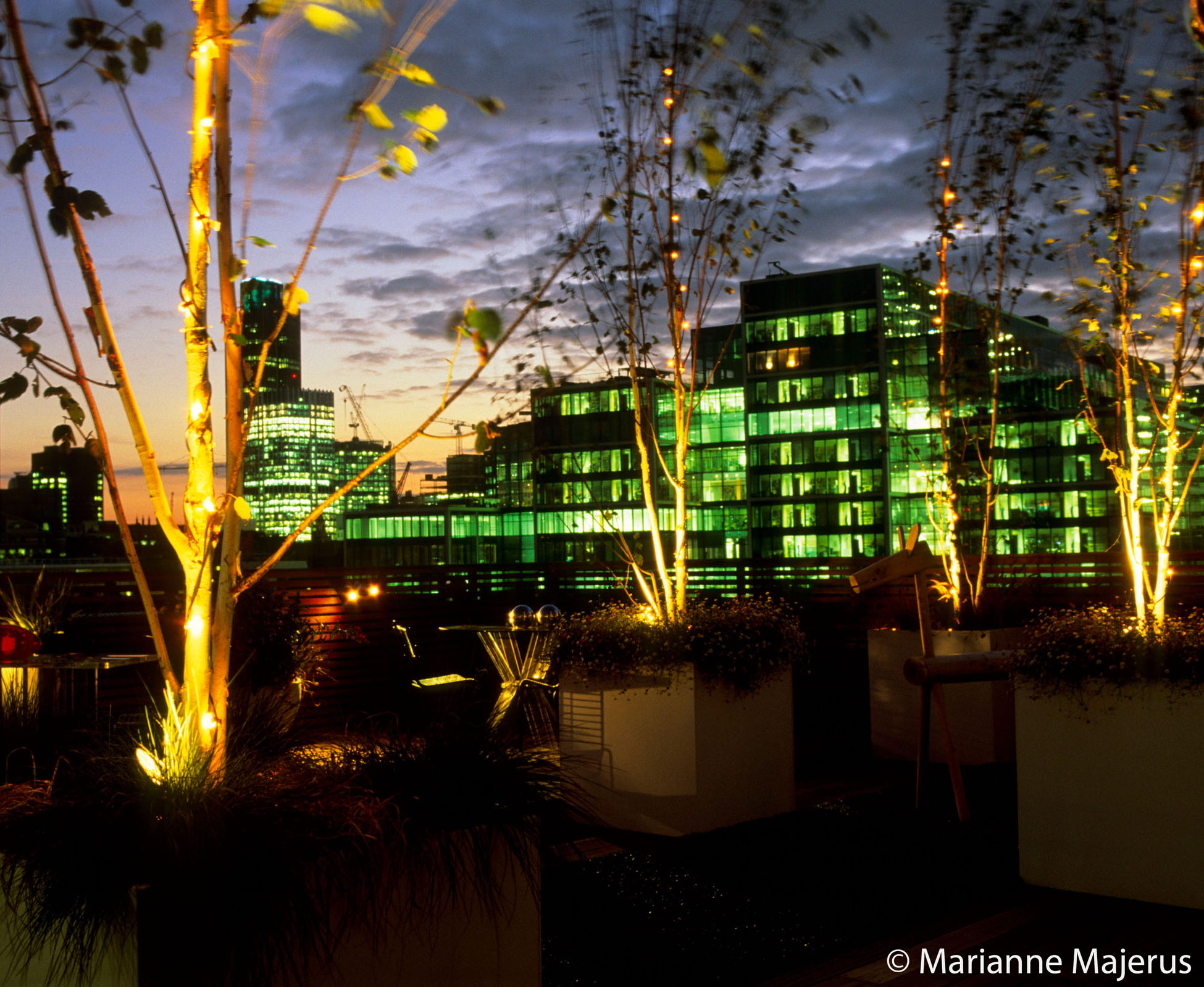 At dusk, some fantastic views to enjoy from this city rooftop terrace where some tall birch trees are uplit with warm LED spot lights.