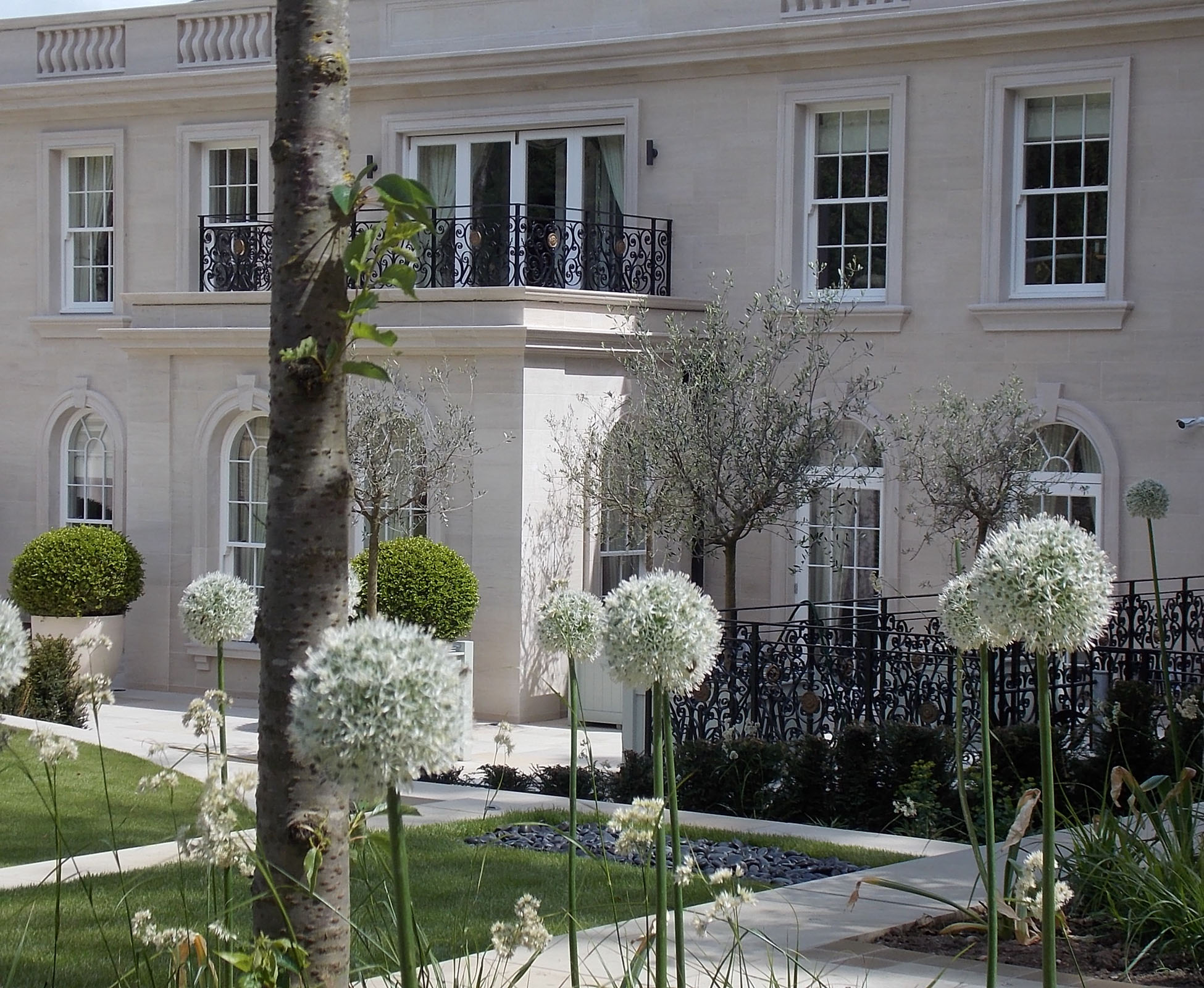 Some white alliums, Allium ‘Mount Evereste’ and Allium ‘Mont Blanc’ are in full bloom late spring, bringing some flowers to this country garden. The planting scheme is mainly greens and whites, with a few dots of colours.