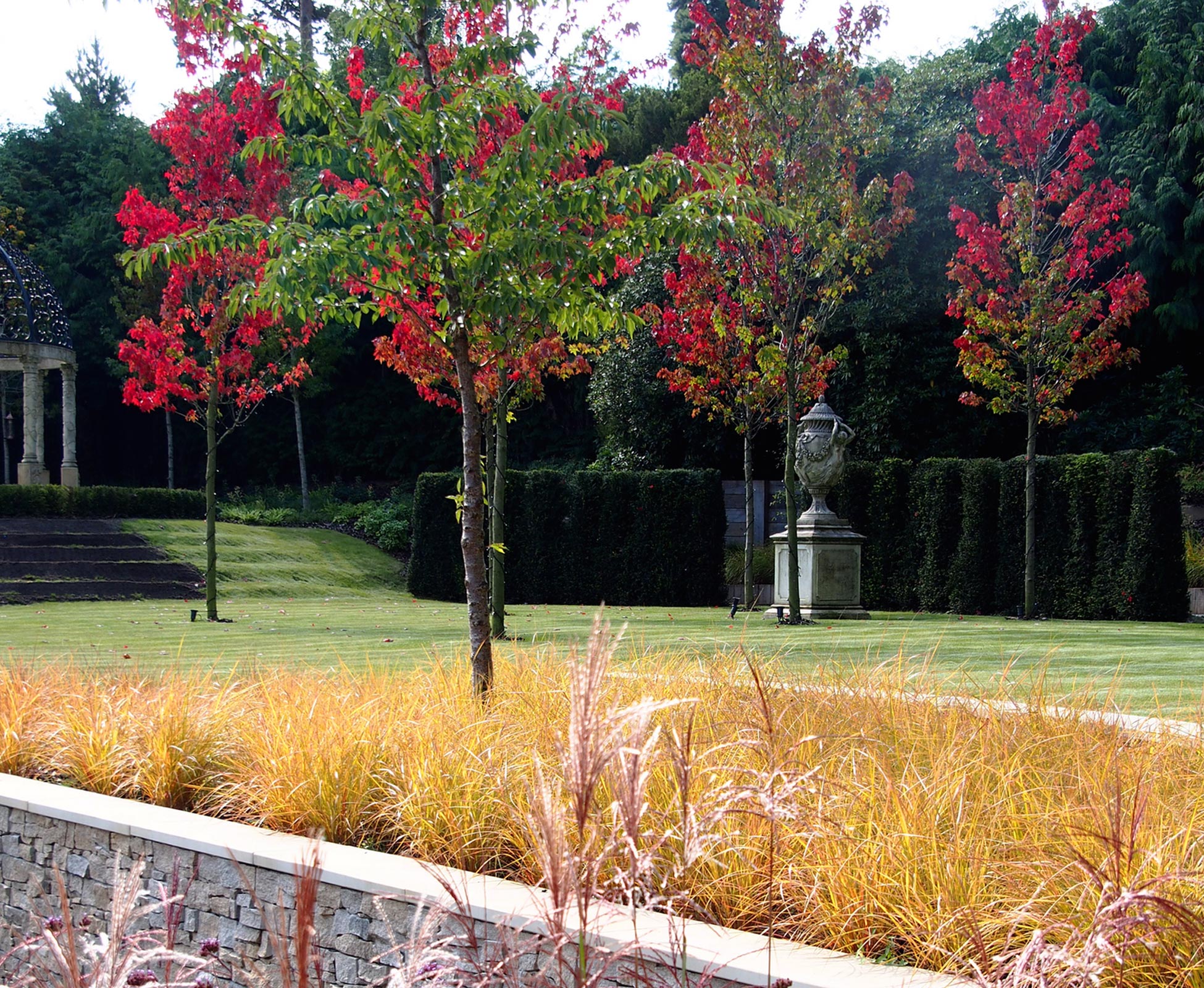 Acer rubrum ‘October Glory, Mischanthus ‘Ferner Ostern’,  Verbena bonariensis, Anemanthele lessoniana are key plants in this planting scheme, illuminating this countryside garden at various seasons. The autumn colours are spectacular.