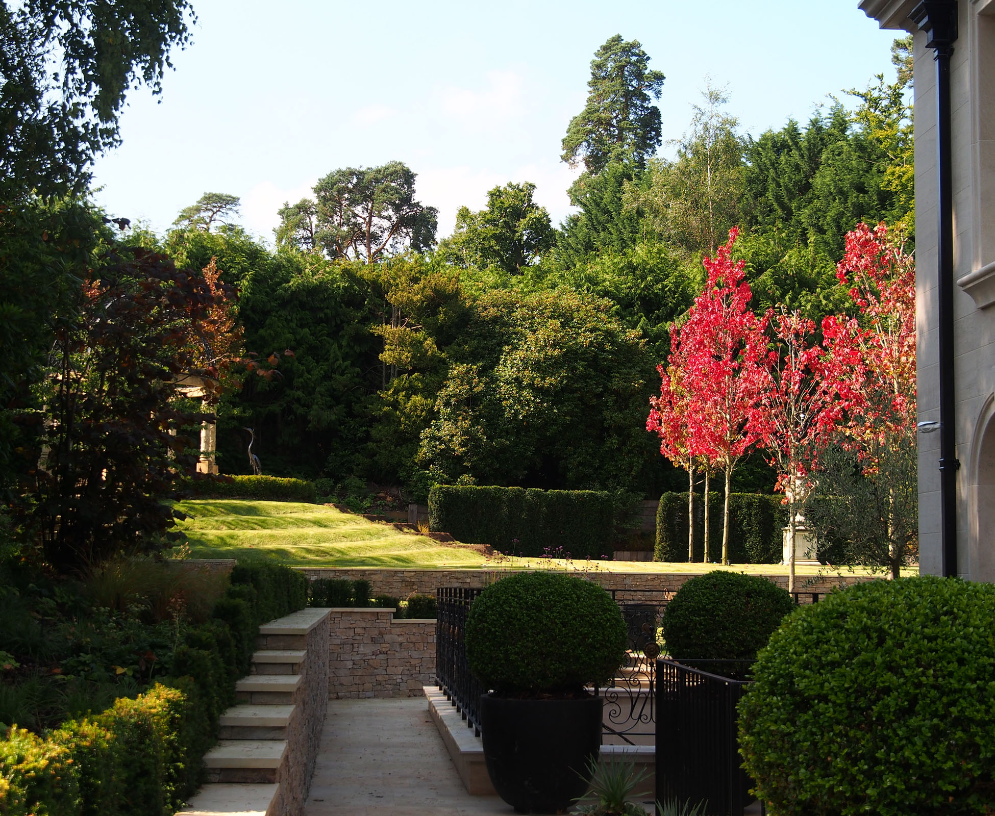 In the background, the dense forest is the perfect backdrop to a well maintained country garden. The clipped yew hedge at the back limits the property, whilst the stunning oak trees do their show, wearing autumn colours for a few weeks in this country garden.