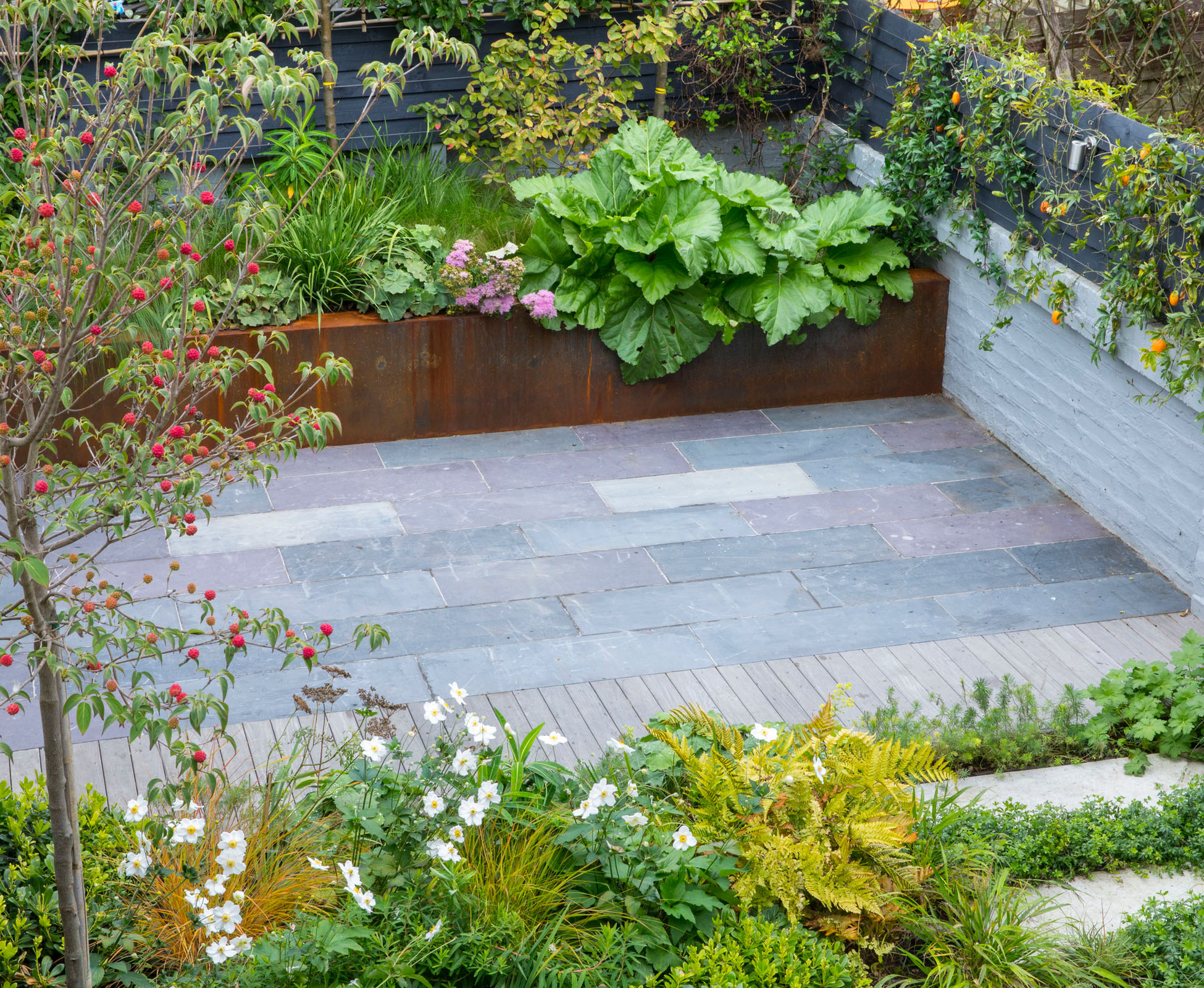 View from the top floor of this Crouch End garden, North London, showing the reclaimed slate patio with a hardwood ipe banding detail. At the back, a raised corten steel bed is planted with an old rhubarb and some pleached Pyrus ‘Chanticleer’ amongst perennials.