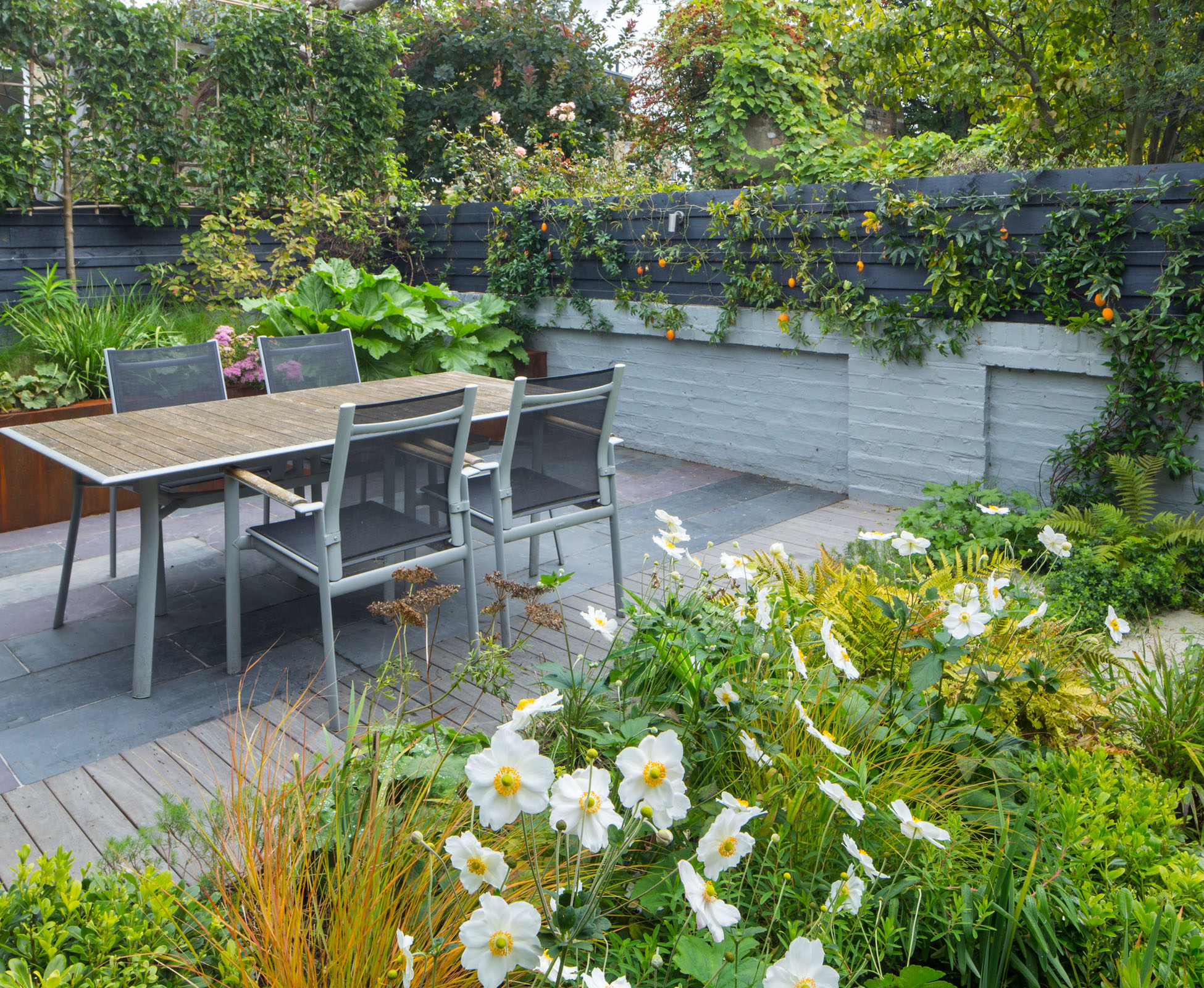 The newly built trellis, above an existing brick wall, has been painted dark grey. Some stainless steel wires have been fixed to the cedar for climbing plants to grow on. A passionfruit is bearing orange fruits in summer.