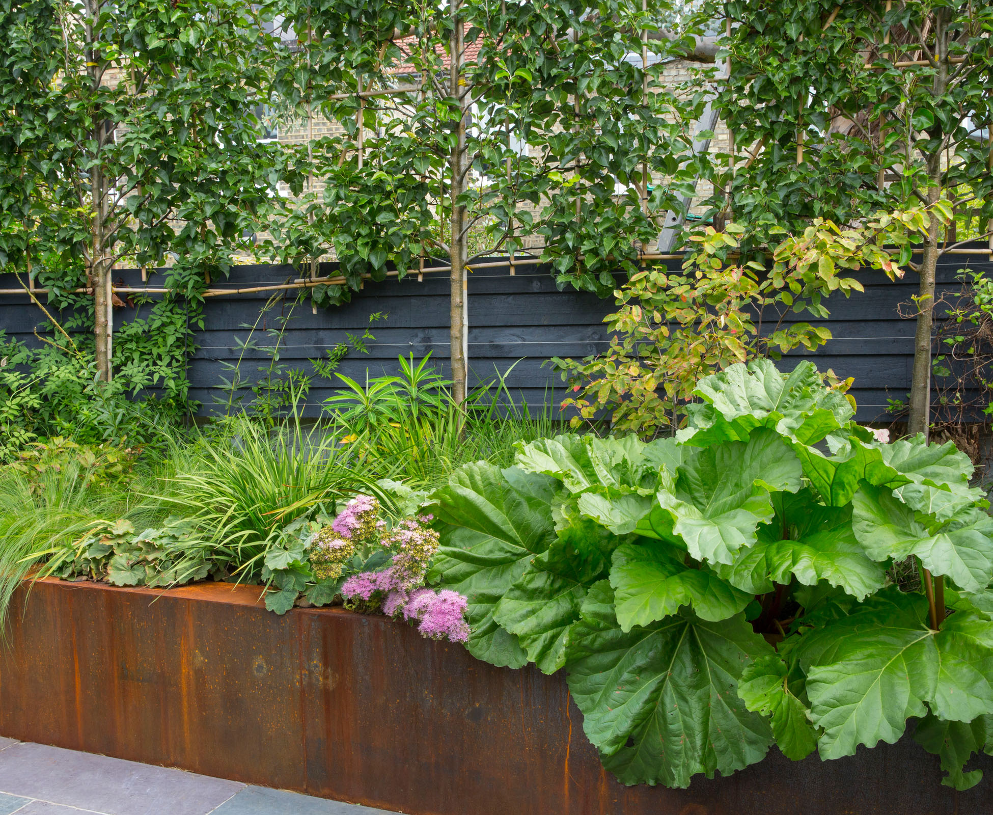 The Corten steel raised bed is planted with sun loving herbaceous such as Sedum, Stipa tenuissima, Alchemilla mollis and some Euphorbia. An existing rhubarb has been kept, and a small Amelanchier feature tree was added, visible from the house. Some pleached Pyrus ‘Chanticleer’ provide some privacy from the neighbour’s garden.