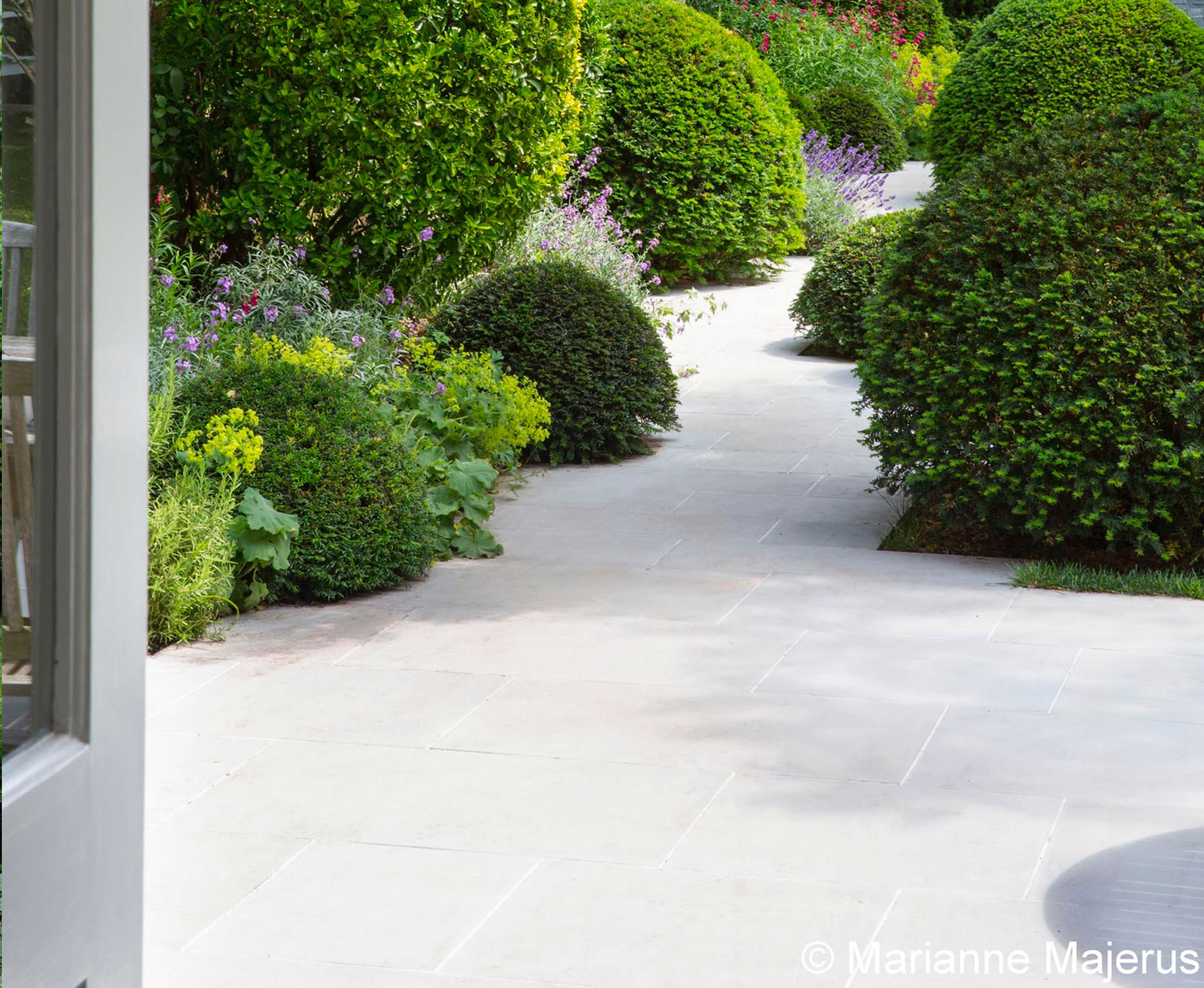 The view from the kitchen of this Finchley garden on the sawn sandstone invites one to contemplate the elegant planting. A mix of strict clipped yew balls is softened by herbaceous perennials and a magnificent birch tree.