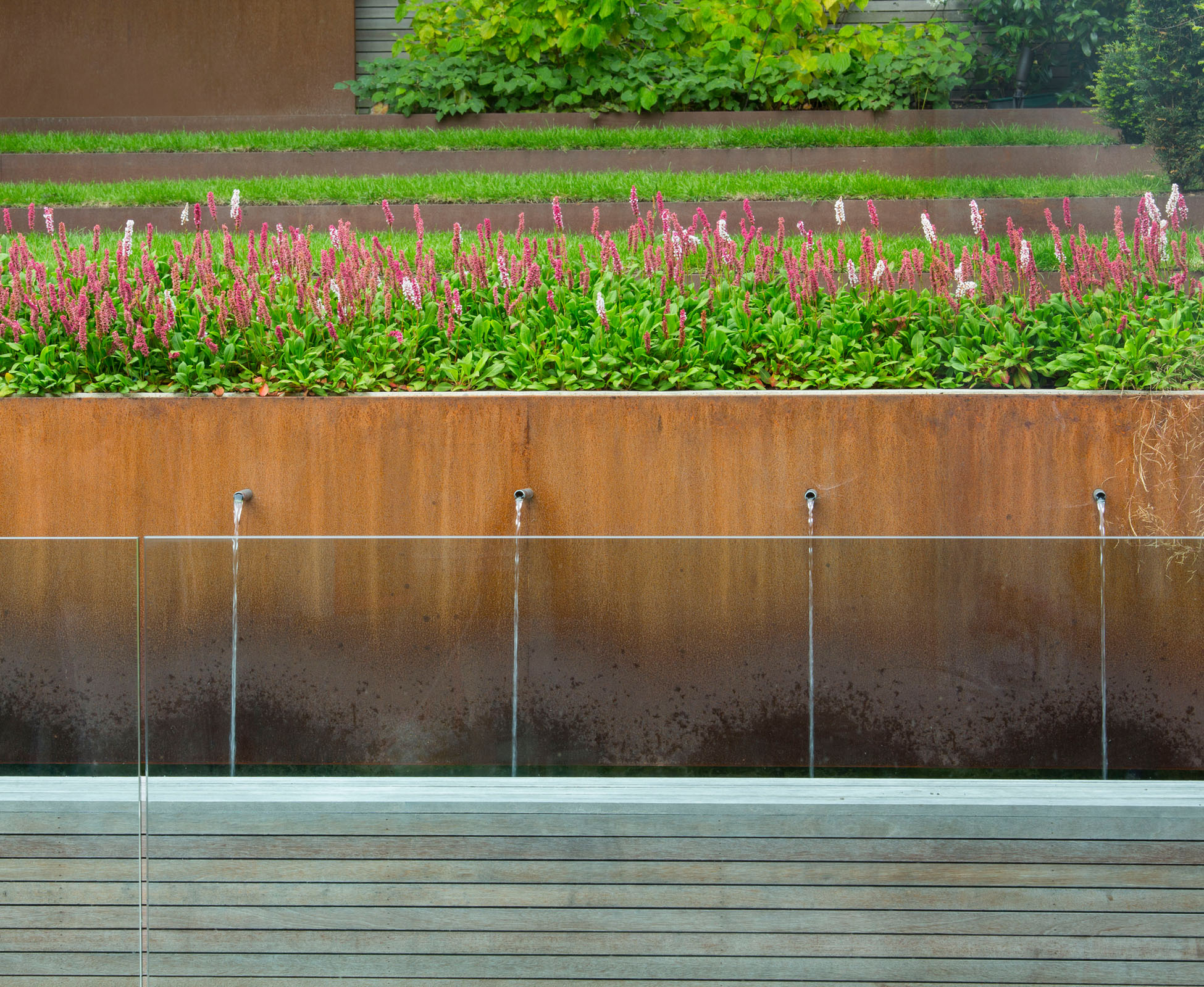 Close up view from this Hampstead house on the bespoke Corten steel water feature. Some Corten risers are visible behind, leading to the rear of the garden.