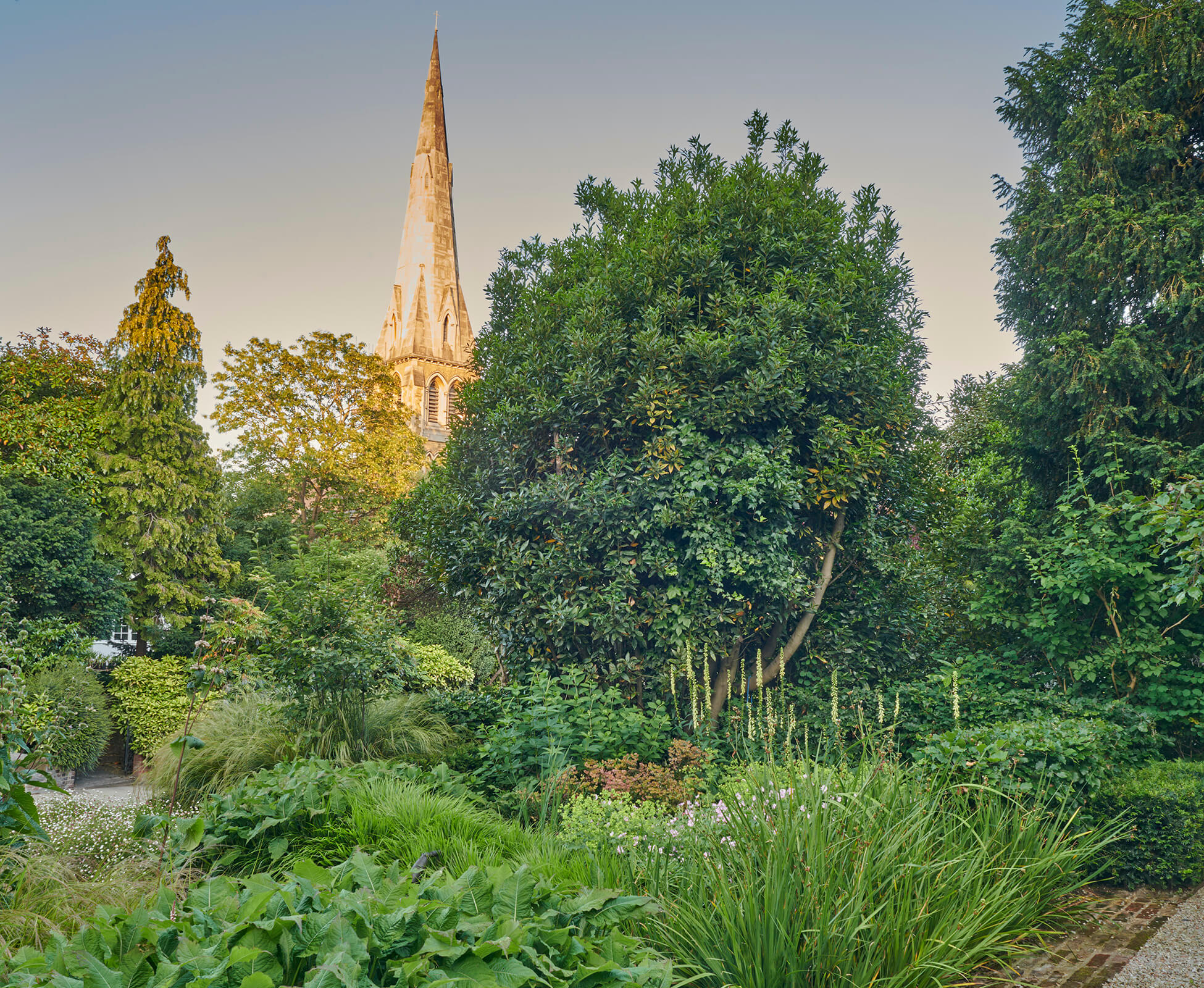 The front garden planting is flourishing, with Digitalis ‘Lutea’ and geraniums in full bloom. In the background, the church bell tower rises amongst tall neighbourhood trees.