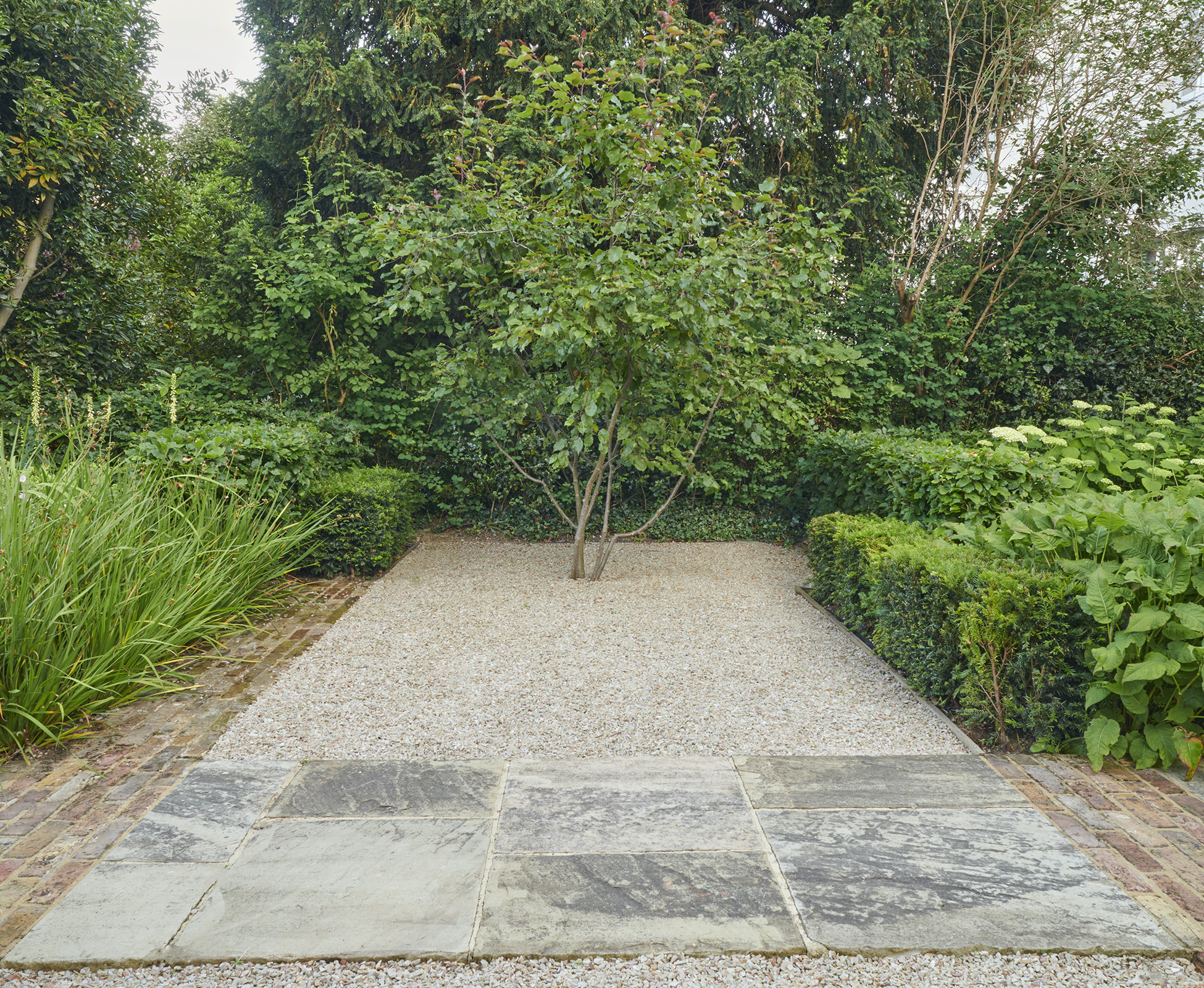 This beautiful multistem Malus Rudolph tree set in gravel, becomes a sculptural focal point in the client’s front garden.