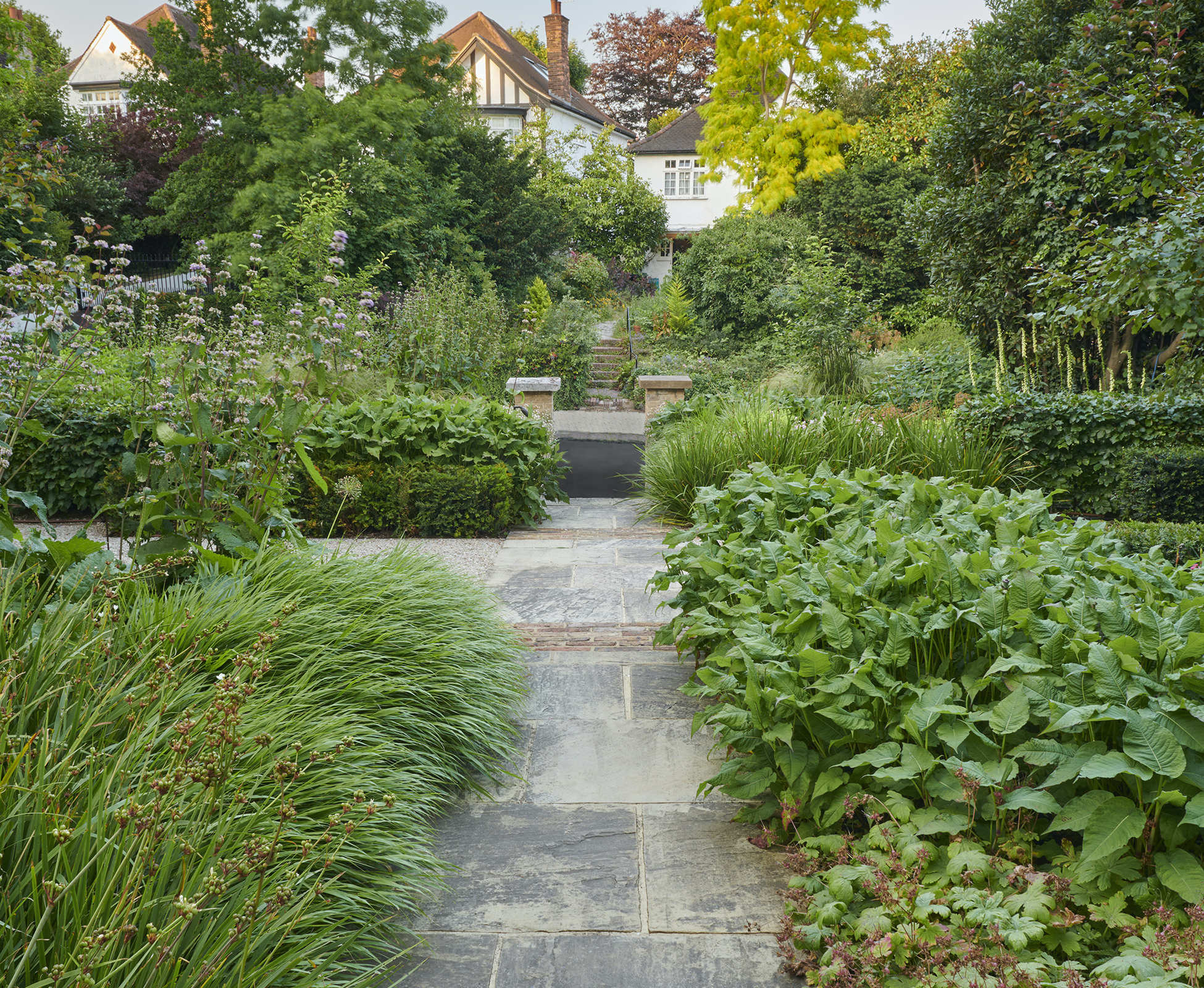 Another view of the front shows the planting softening the straight edges of the path, creating an inviting walk into this Hampstead garden.