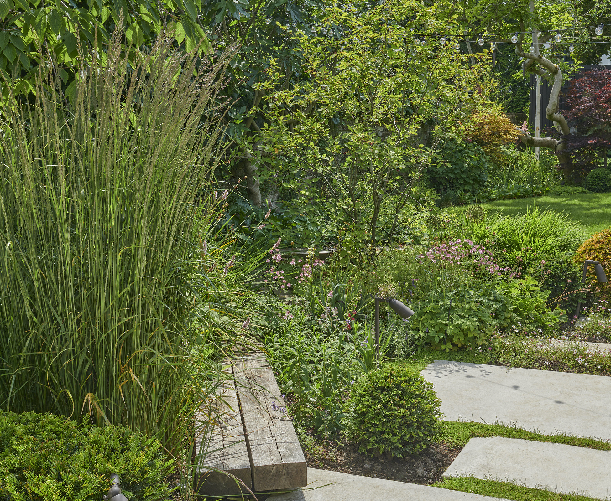 The built-in boardwalk seems to be floating above the foliage, leading toward the lawn area.