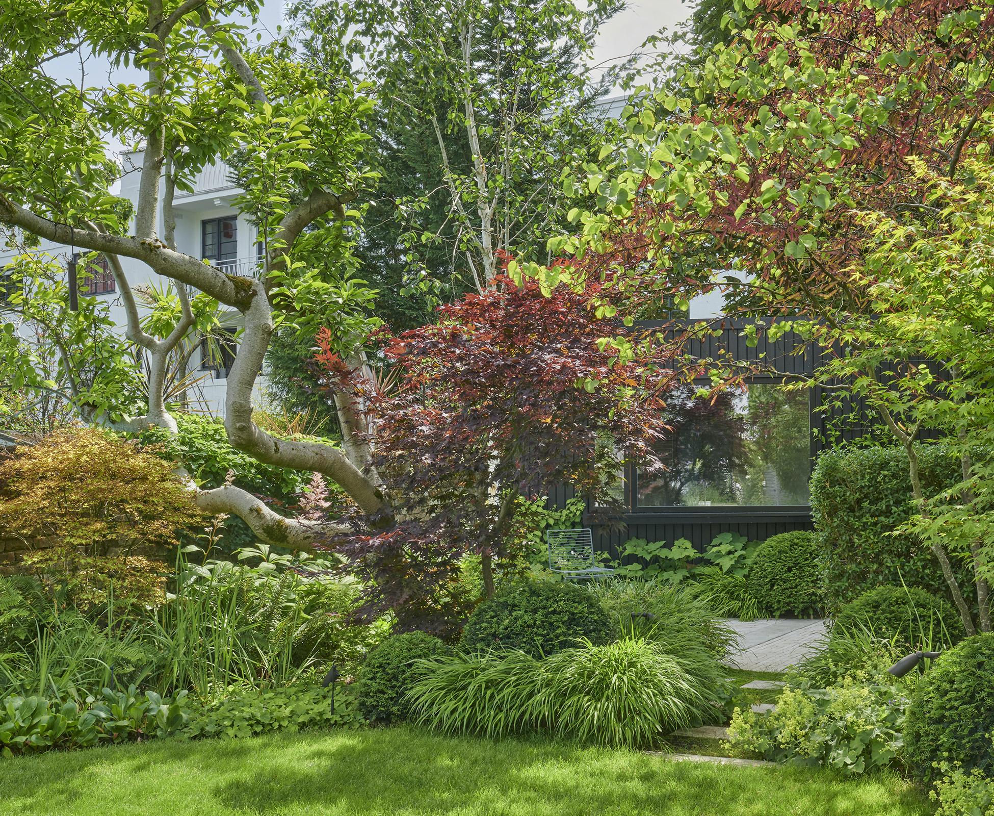 View of the new garden studio at the back of the property, painted dark grey so it blends into the background.