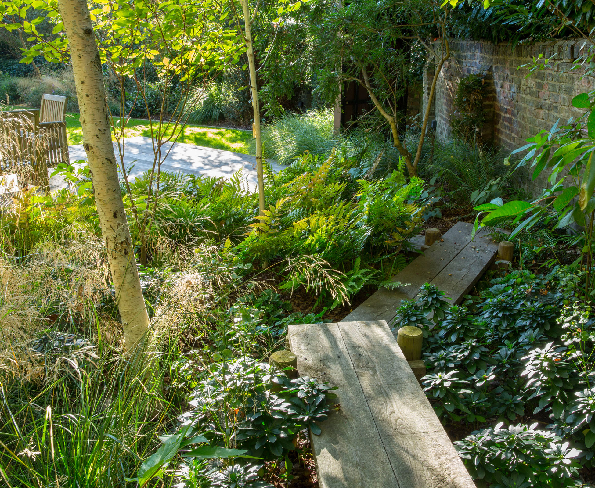 The morning light is caught by the Deschampsia cespitosa in the woodland planting of this Hampstead Heath garden. The built-in boardwalk seems to be floating above the foliage such as Euphorbia amygdaloids var. robbiae and Dryopteris erythrosora, waiting for the Hydrangea paniculata to flower.