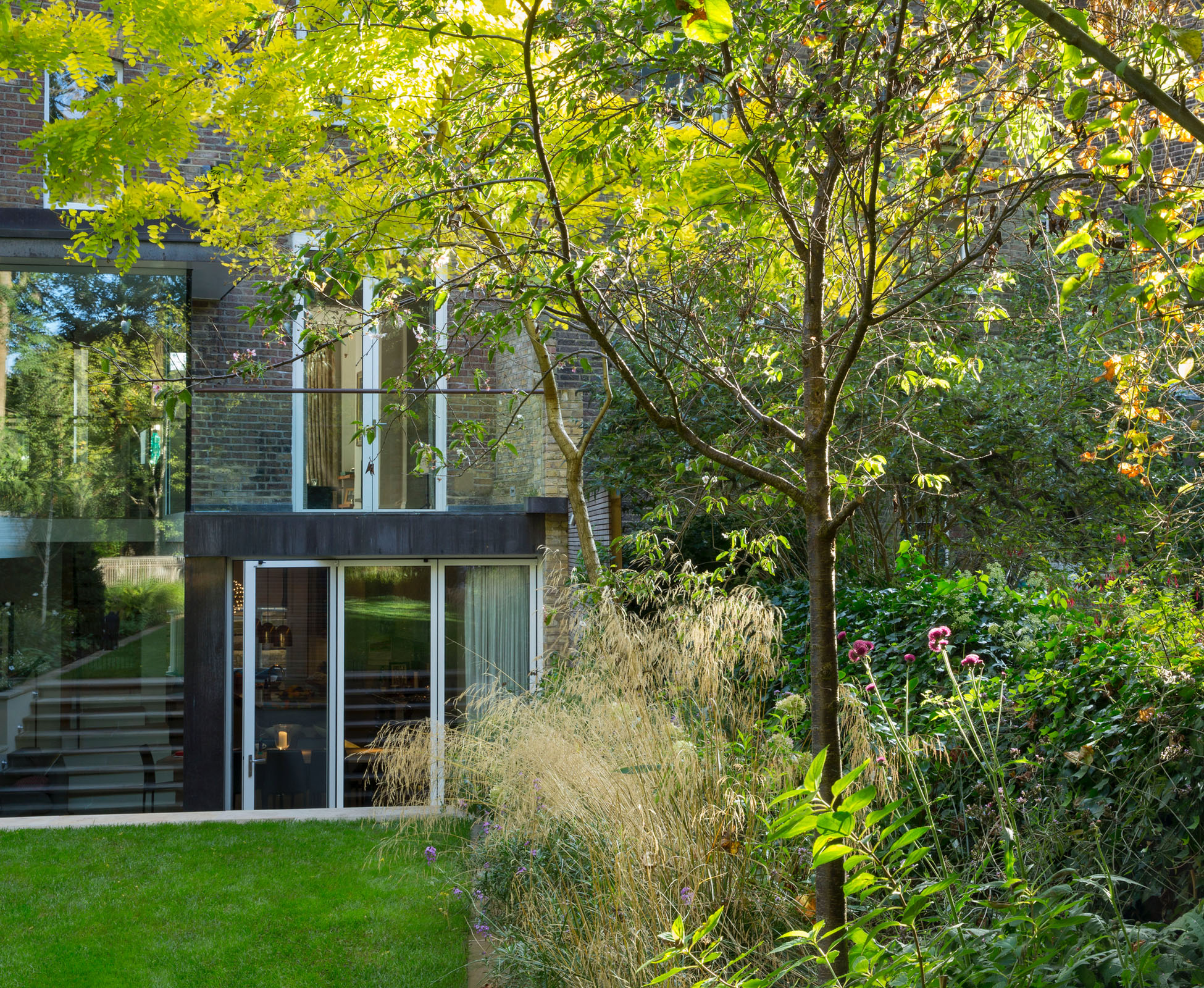 Gleditsia triacanthos ‘Sunburst’ is the real feature in this Hampstead Heath garden, glowing in the morning light. The soft looking grass, Deschampsia cespitosa and some tall red flowers, Cirsium rivulare,also stand out.