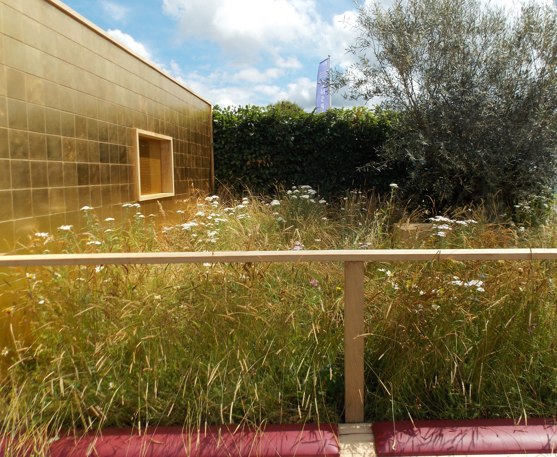This conceptual garden designed on the theme of the seven deadly sins, expresses Greed at Hampton Court Palace Show Garden. A feature wall, clad in golden tiles, matches with the colours of the wildflower meadow, especially when the tall grasses catch the late afternoon light.