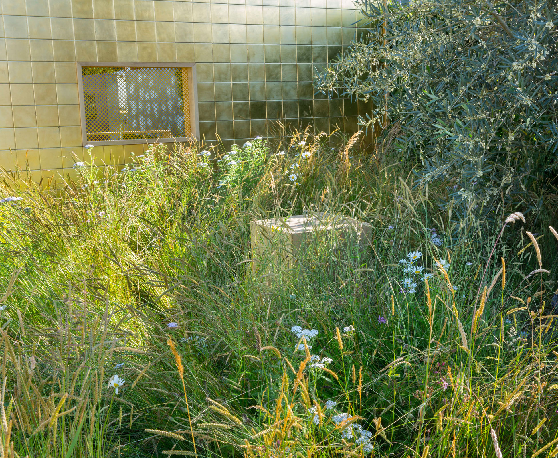 This conceptual garden designed on the theme of the seven deadly sins, expresses Greed at Hampton Court Palace Show Garden. between the golden tiles, a timber framed window offers a strong visual link to the second space, tying in the whole concept together.