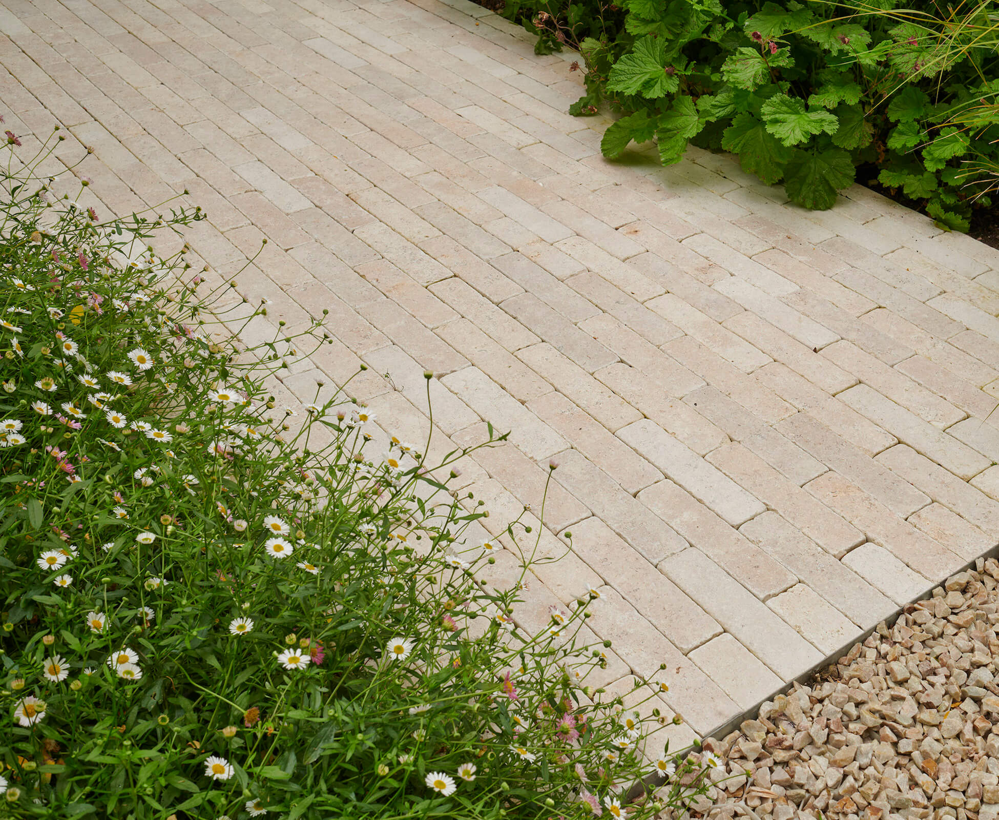 Erigeron tumbles along the edges of this limestone stacker path, softening and complimenting the overall garden scheme.