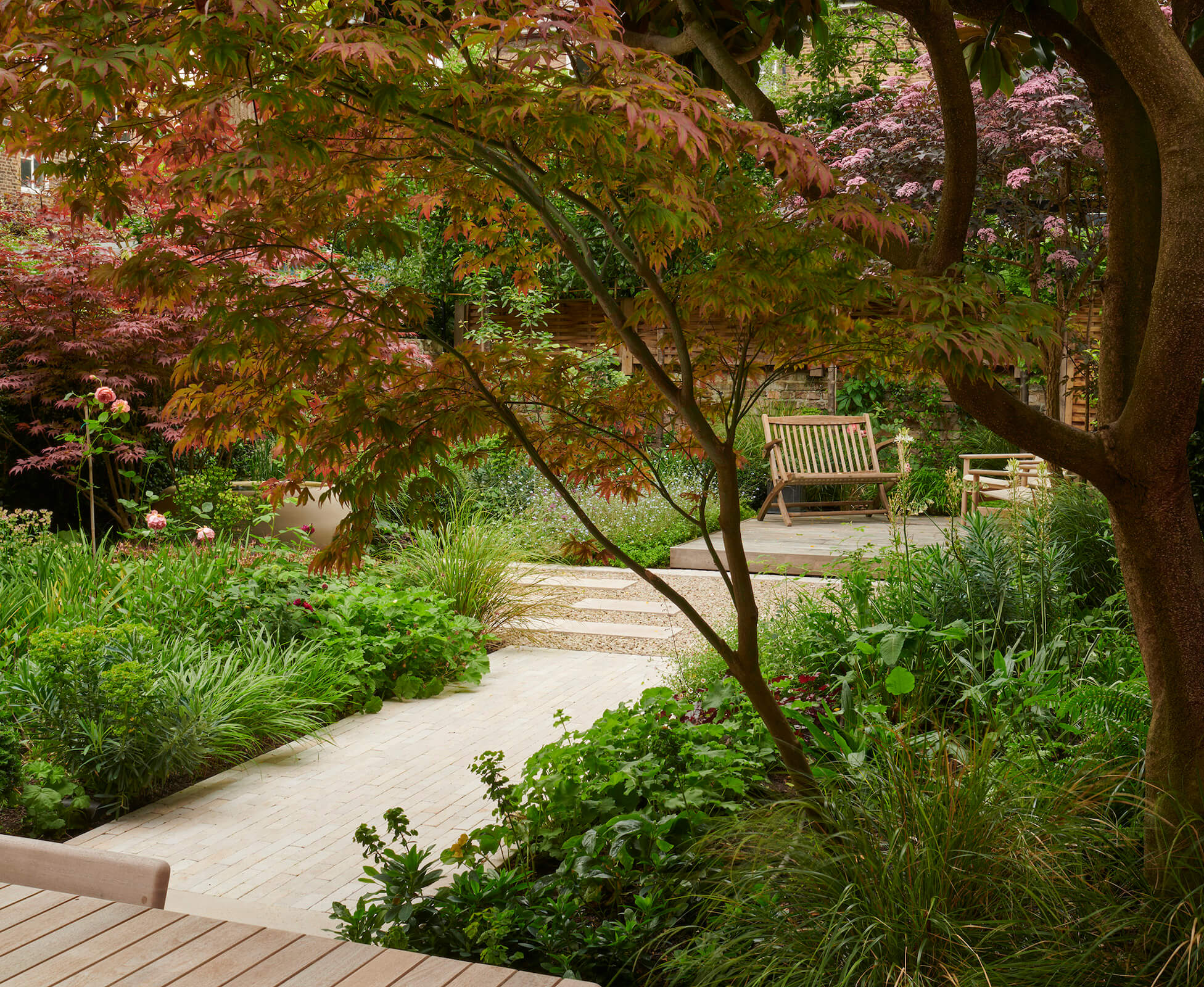 An existing Acer frames the view of this Highbury garden using a natural palette of limestone pavers and oak decking, surrounded by planting.