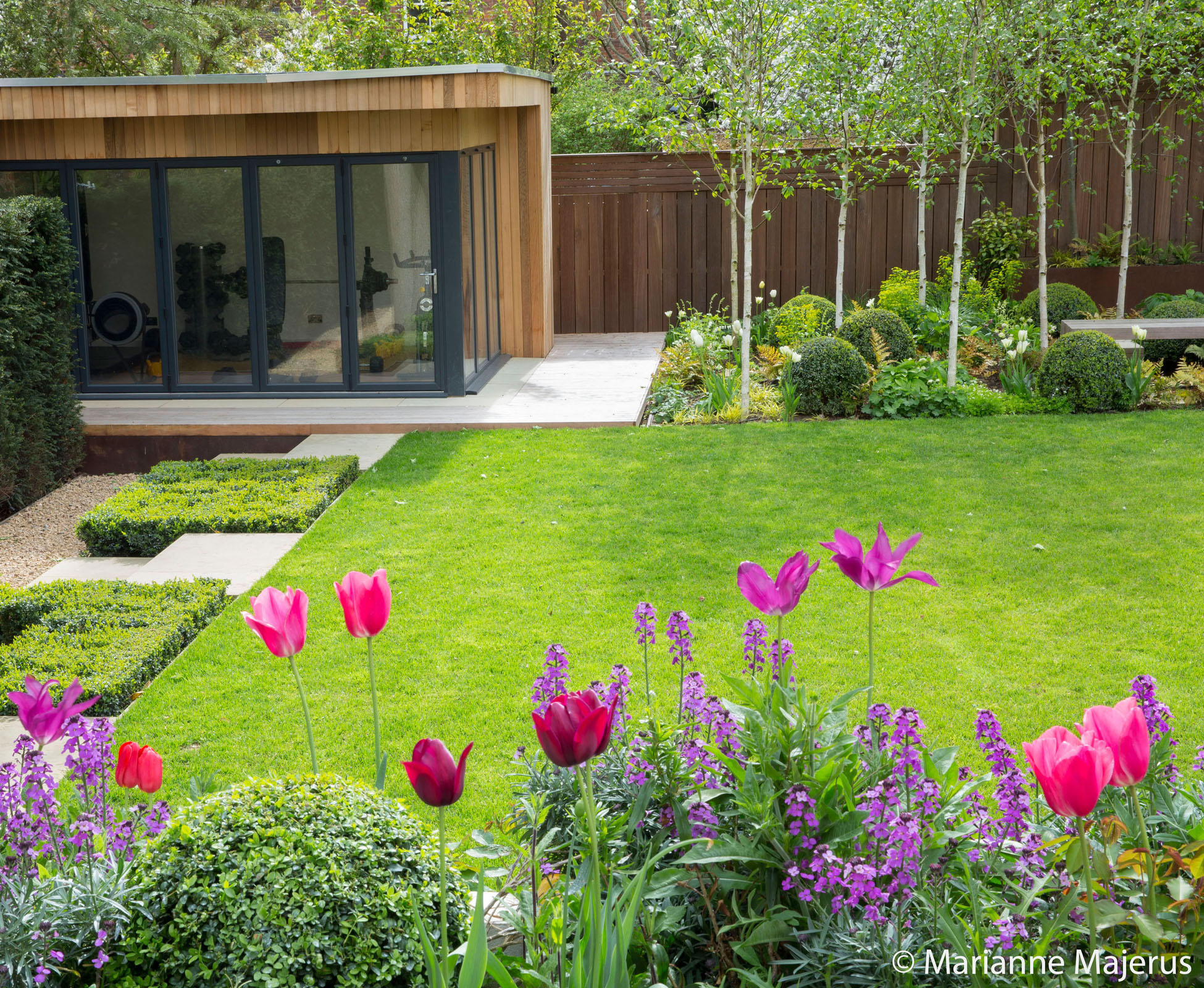 The view from the studio is lush with birch trees, white stems and clipped topiary balls, attracting the eye to the seating area at the back of this Highgate garden.