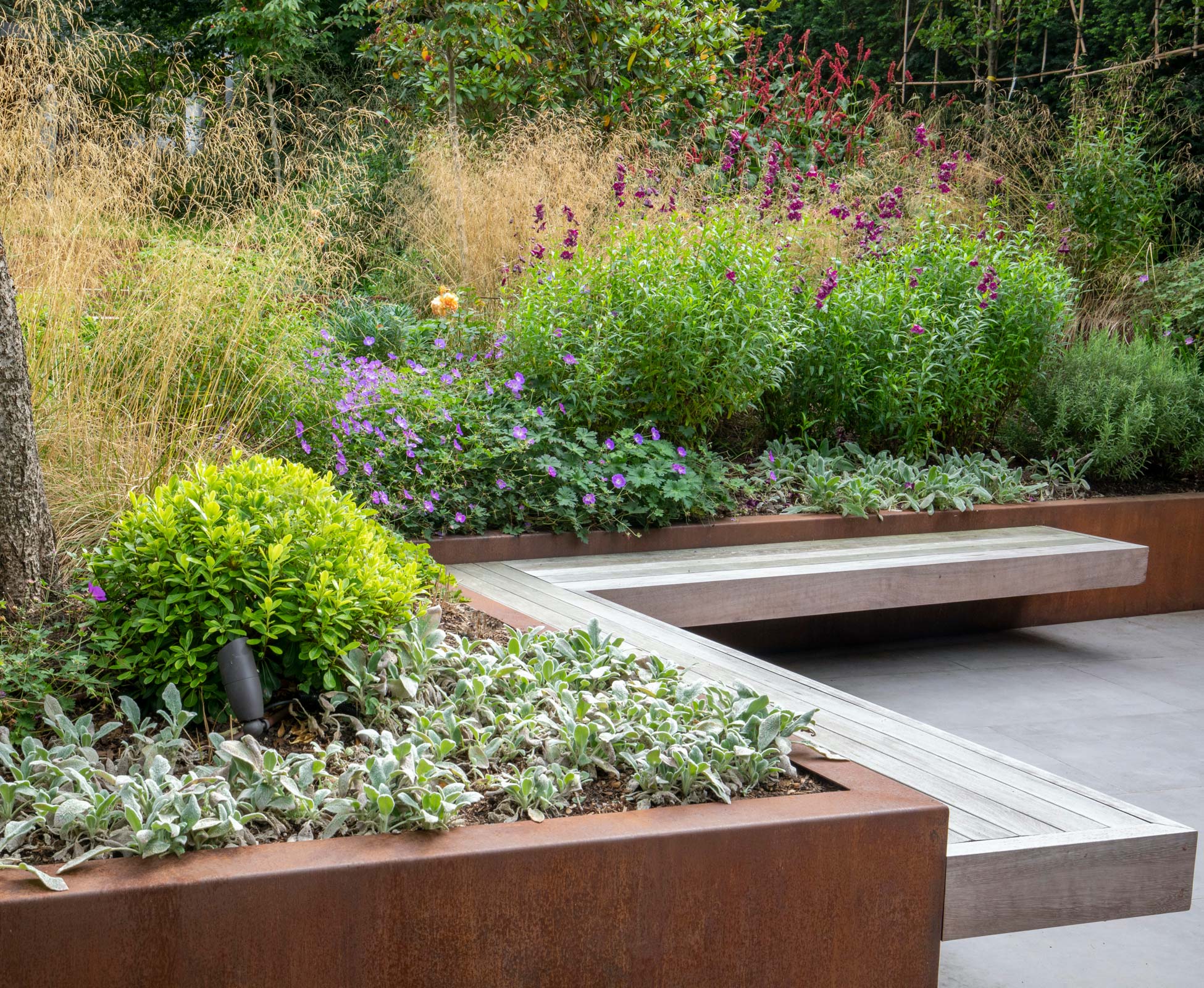An L shaped floating hardwood timber bench sits in front of the new corten steel planter; lush greenery spills out from above softening the straight edges.