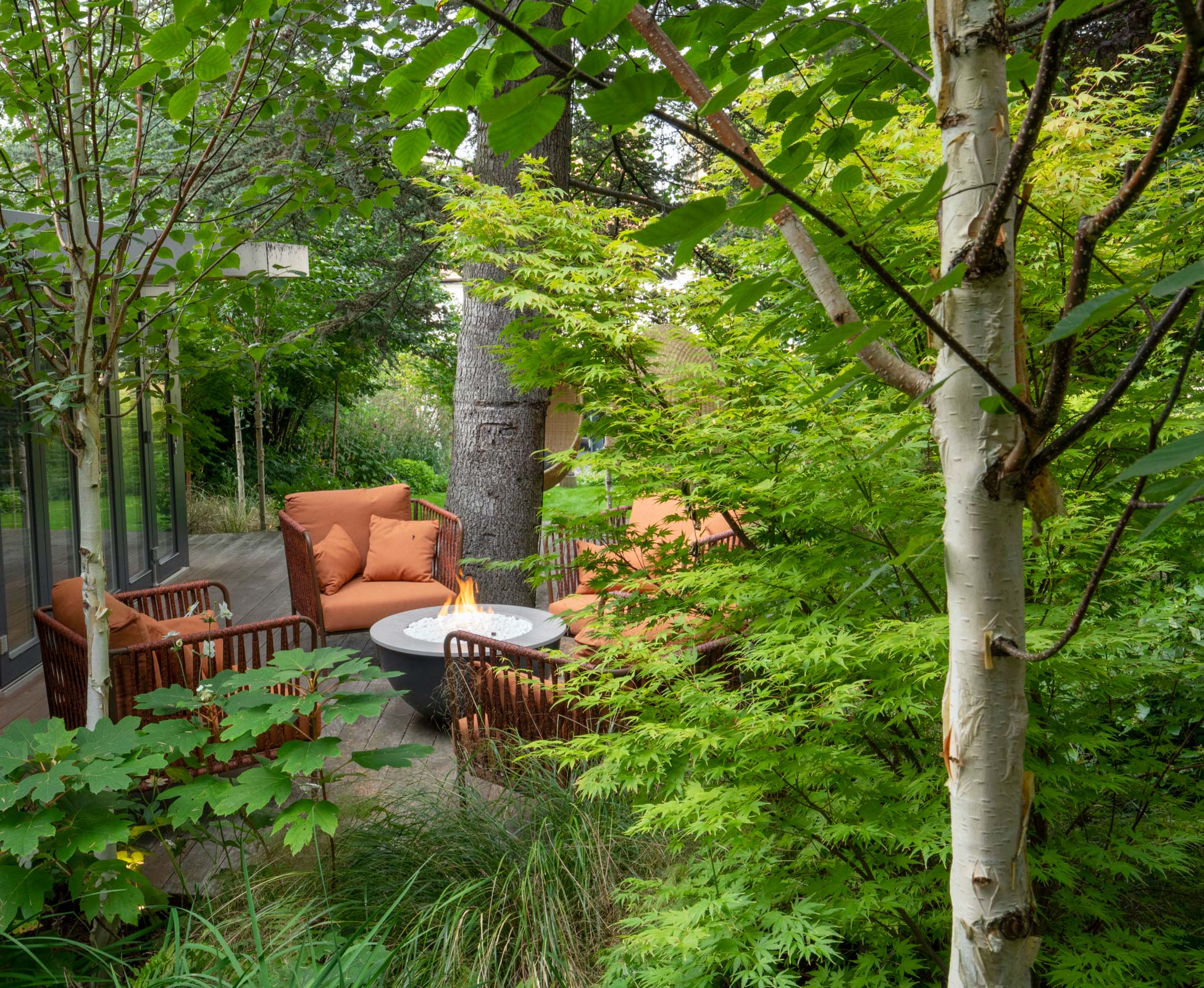 A fire bowl warm up this gorgeous seating area hidden among the Betula jacquemontii ‘Doorenbos’ trees in the woodland.