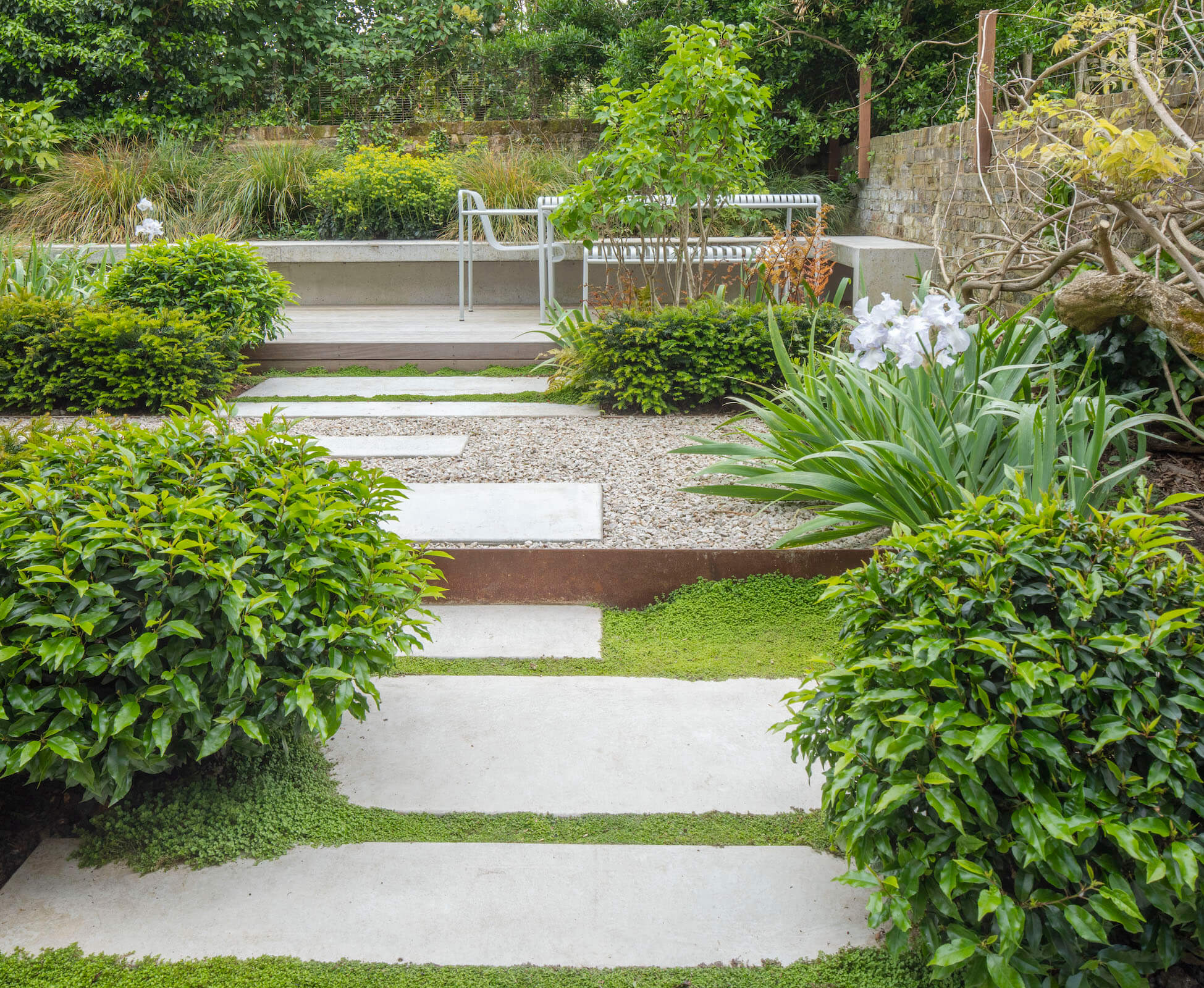 Kentish Town Garden