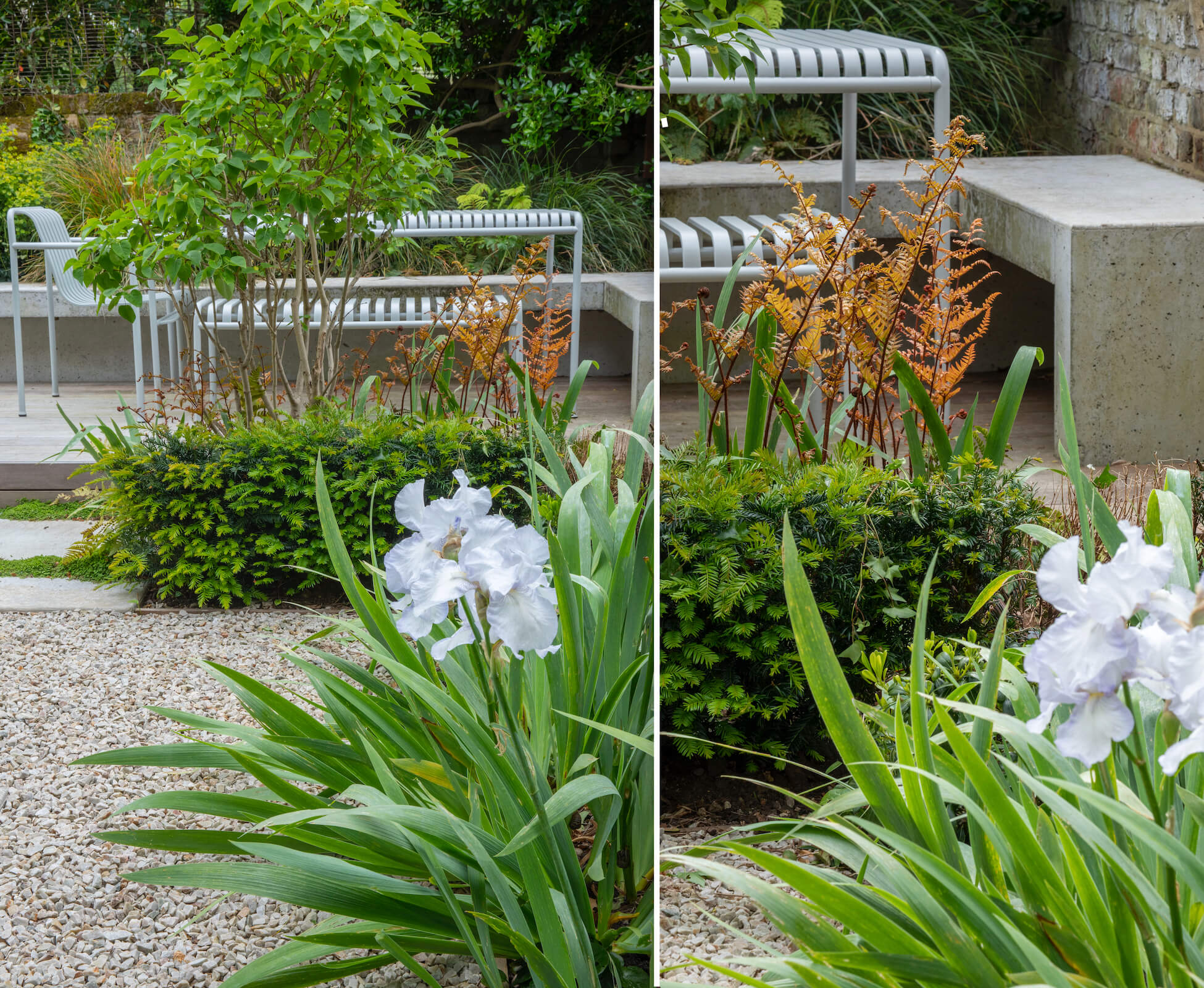 The bronze foliage of Dryopteris erythrosora provide accents that tie in with the subtle use of Corten steel.