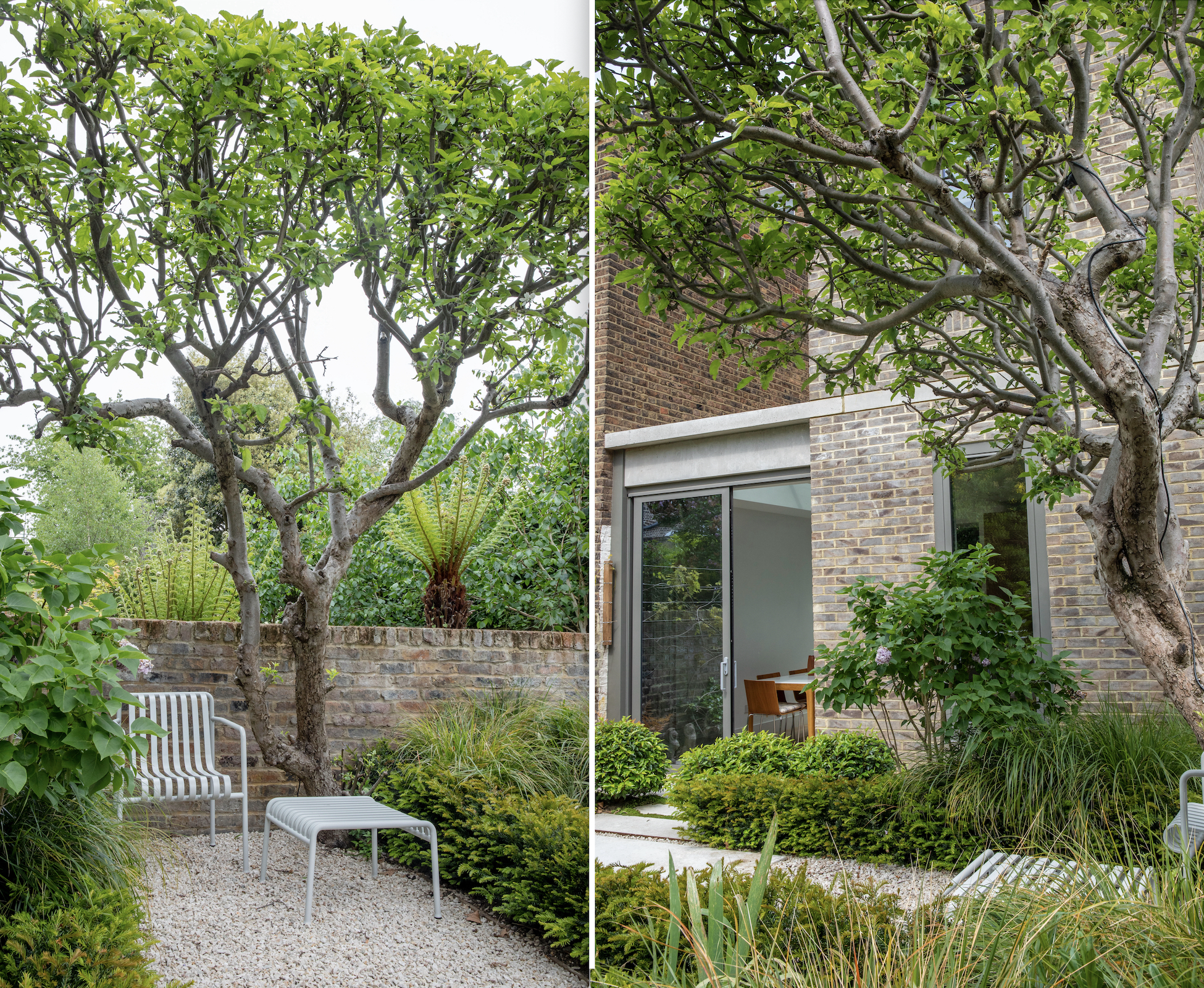 We worked carefully around the clients pear tree to ensure it would become a sculptural feature of the garden. The Irish Barley Quartzite gravel is set on a honeycomb stabilisation system to stop it moving around too much and provide permeability for the tree roots.