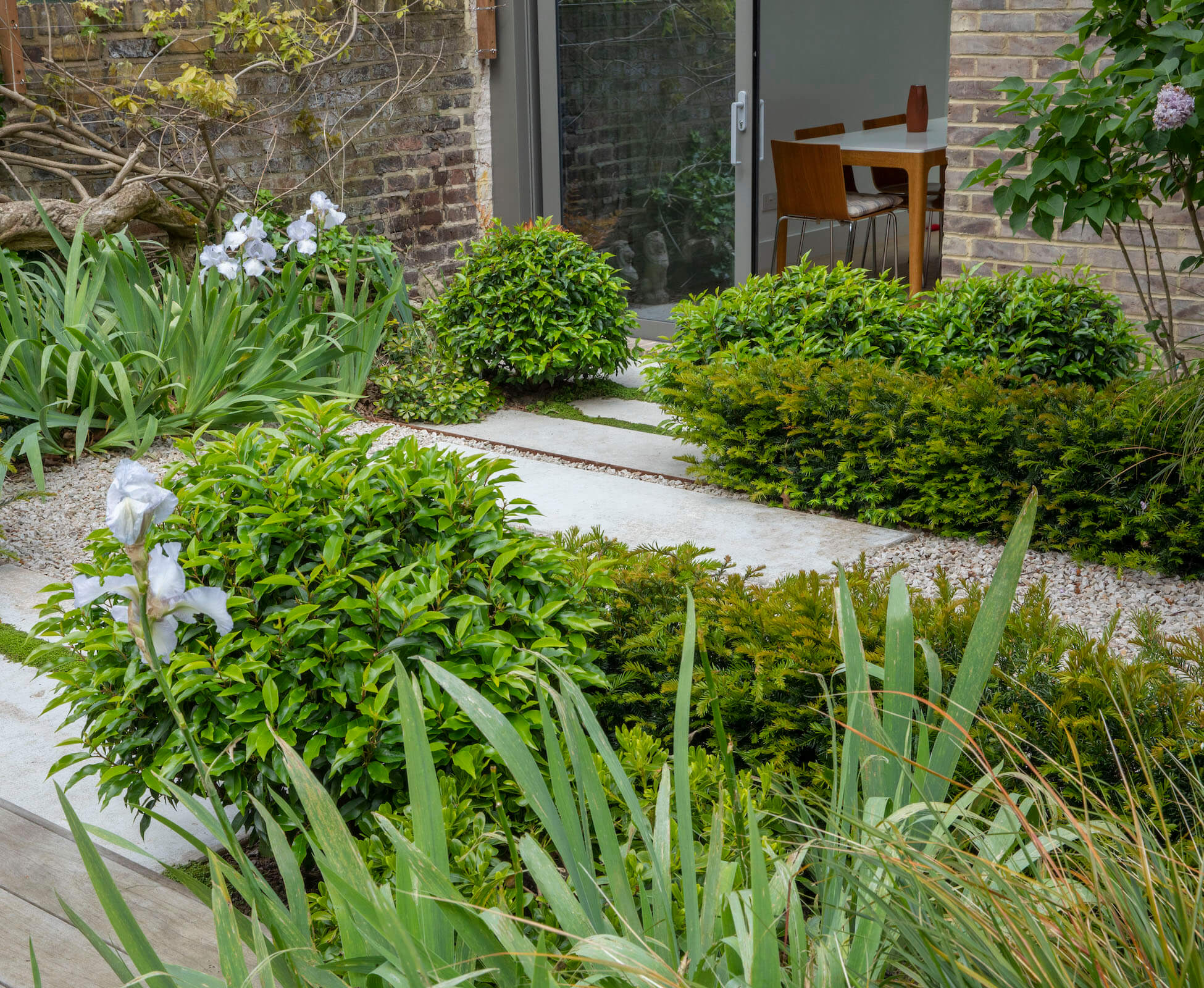 The view back to the house from the decking area, shows the staggered layers of stepping stones and hedging that soften the path. The gnarled trunk of the clients mature wisteria can be glimpsed on the left of frame.