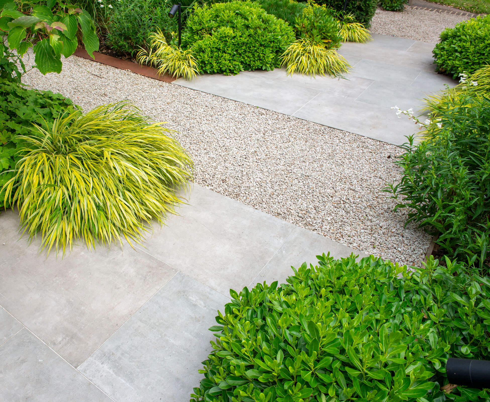 Rhythm and repetition in the carefully balanced planting of Hakonechloa and Pittosporum nanum, provide a staggered and attractive access path to the front door.