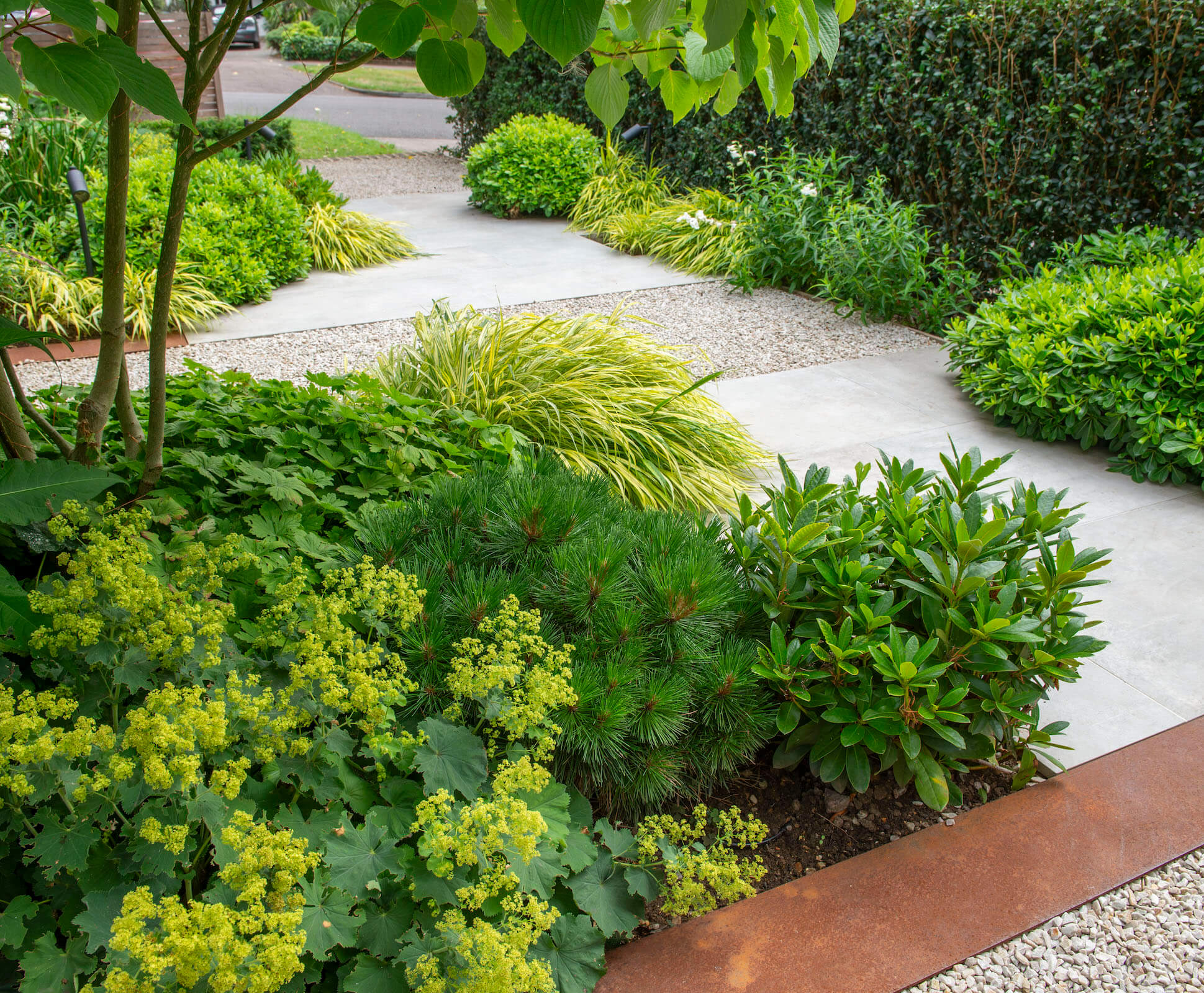 The planting is designed to be low maintenance and predominantly green and white, with varying textures and foliage structure to provide year round interest.