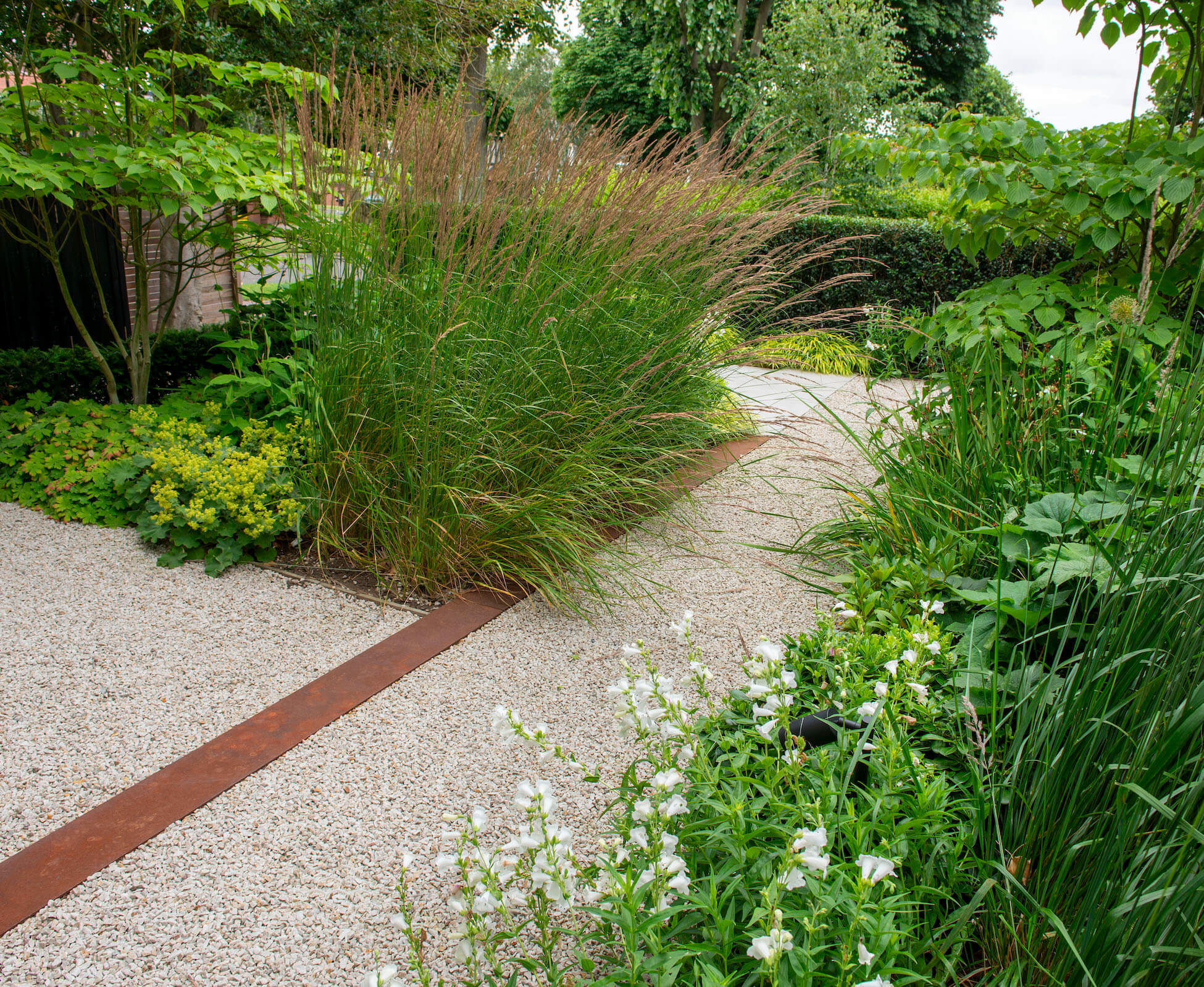 Tall Calamagrostis Karl Foerster provides a soft screen and barrier to hide the cars front the front window and path access.