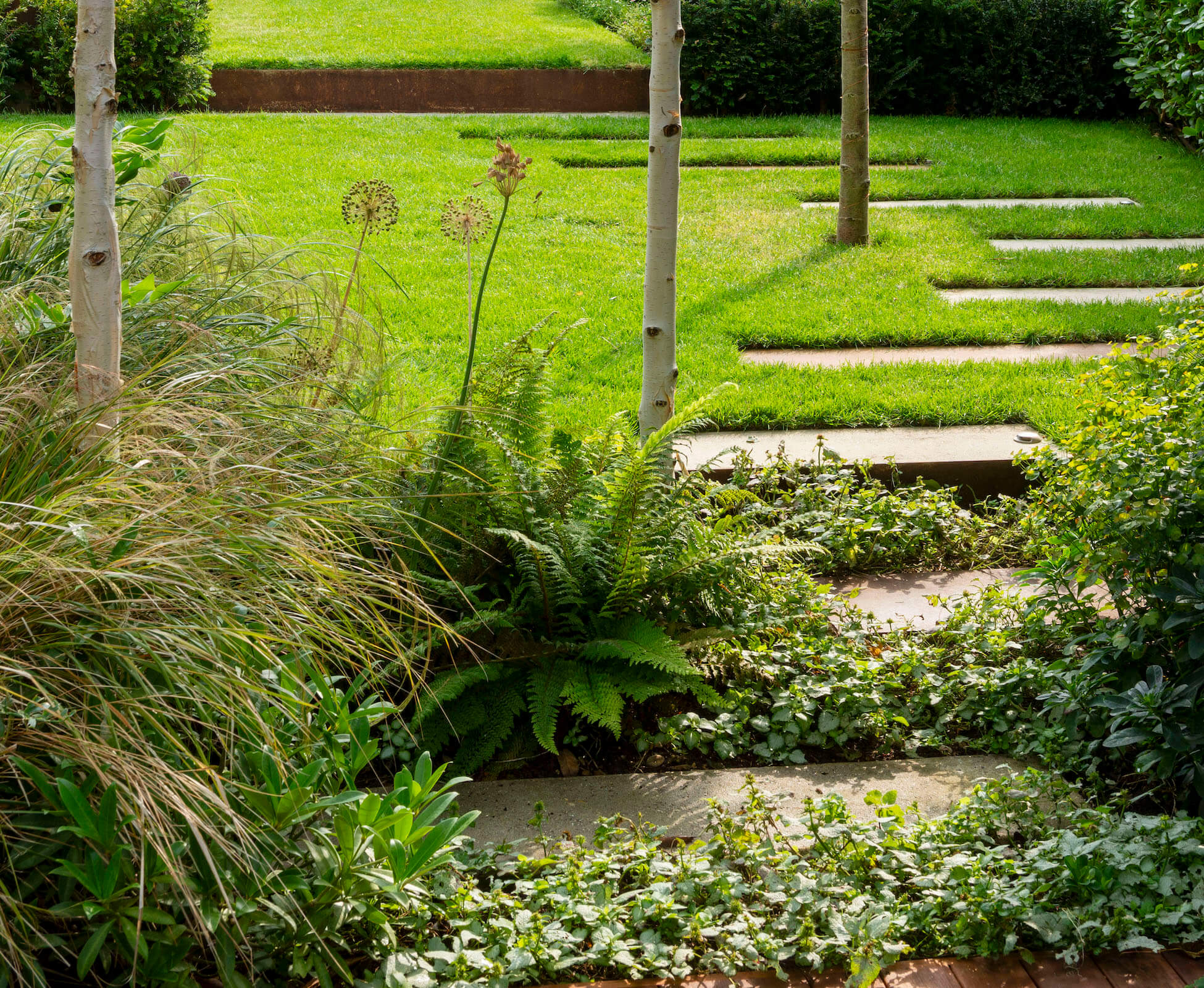 The rear seating area is surrounded by Betula doorenbos trees to create dappled shade and a playful view back to the modernist house extension.