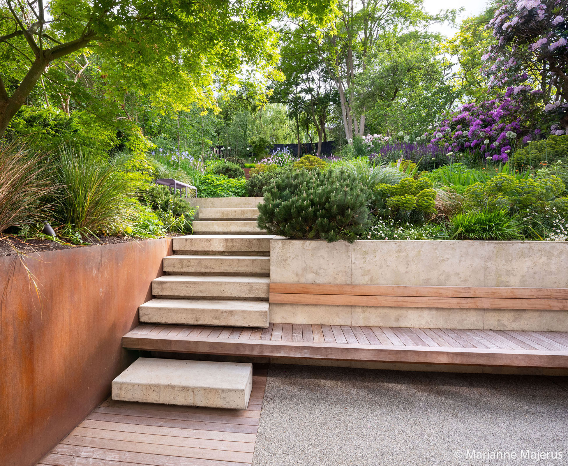 The poured concrete steps that lead to the garden merge with the cantilevered hardwood bench along the retaining wall, shadow gap details create a light feel to the structure.