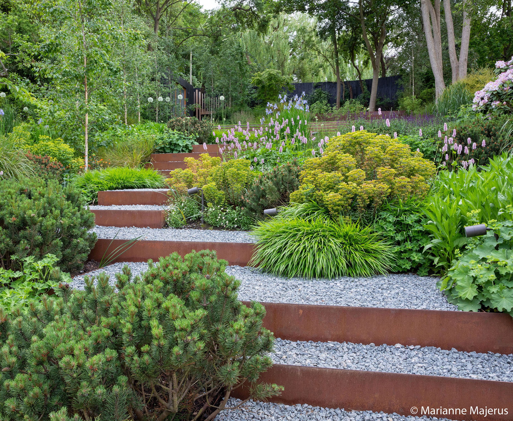 The staggered corten risers create a gentle meandering journey through layers of cascading plants, up to the rear woodland in Muswell Hill.