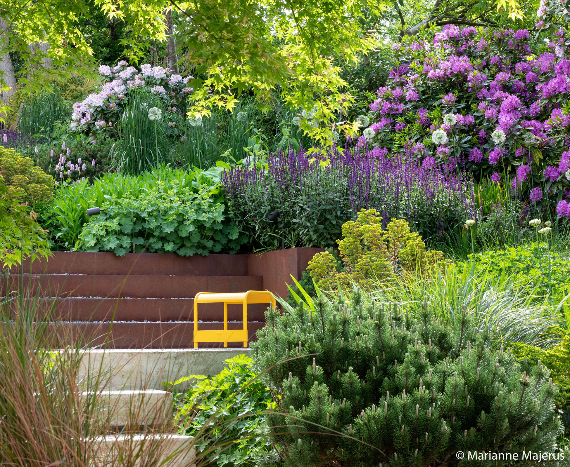 Rhythm and repetition in the planting of this Muswell Hill garden, punctuate the sloped borders, enveloping you in a cloak of greens, purples, pinks and blues.