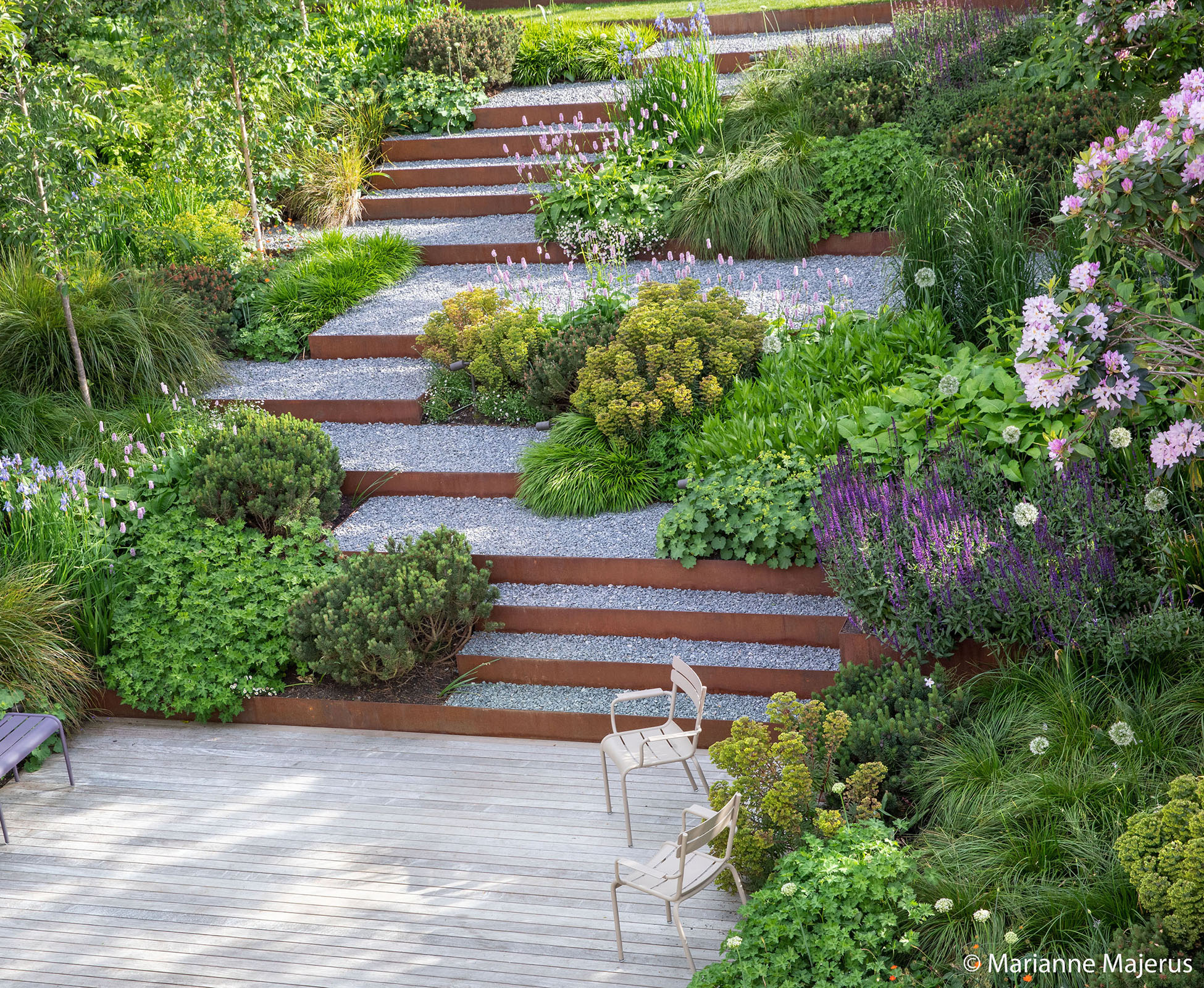 This overview of the Muswell Hill garden reveals the staggered layout of steps and paths through the steeply sloping garden.