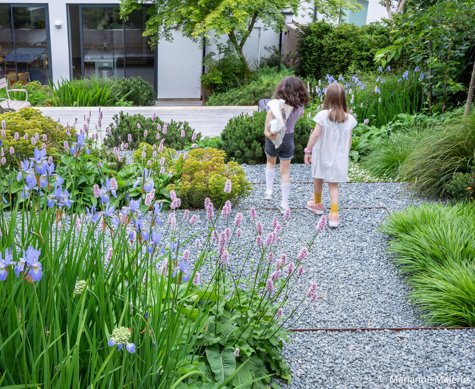 The grey limestone chippings blend tonally with the blues of the Iris. The herbaceous borders spill over the gravel softening the straight lines.