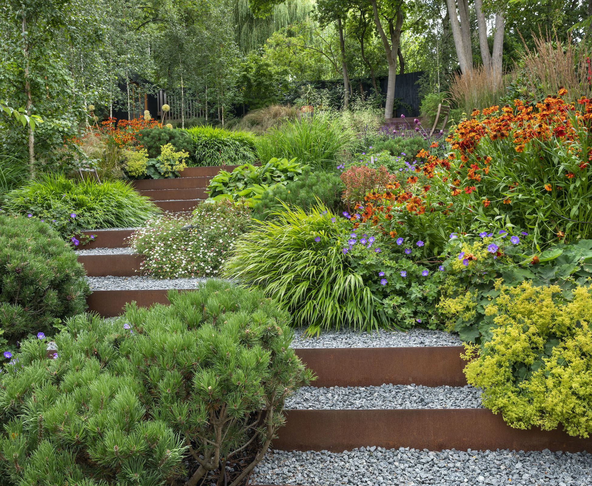 Cascading plants tumble and soften the edges of the corten steel steps, transporting you to the upper garden and flat lawn area.