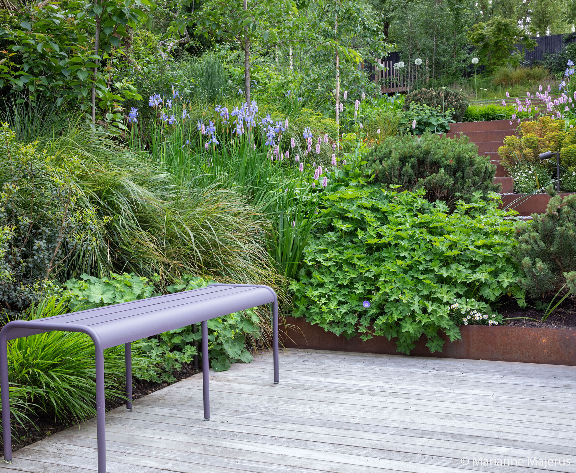 A quiet seating spot on the hardwood decking area between the steps partially concealed by planting.