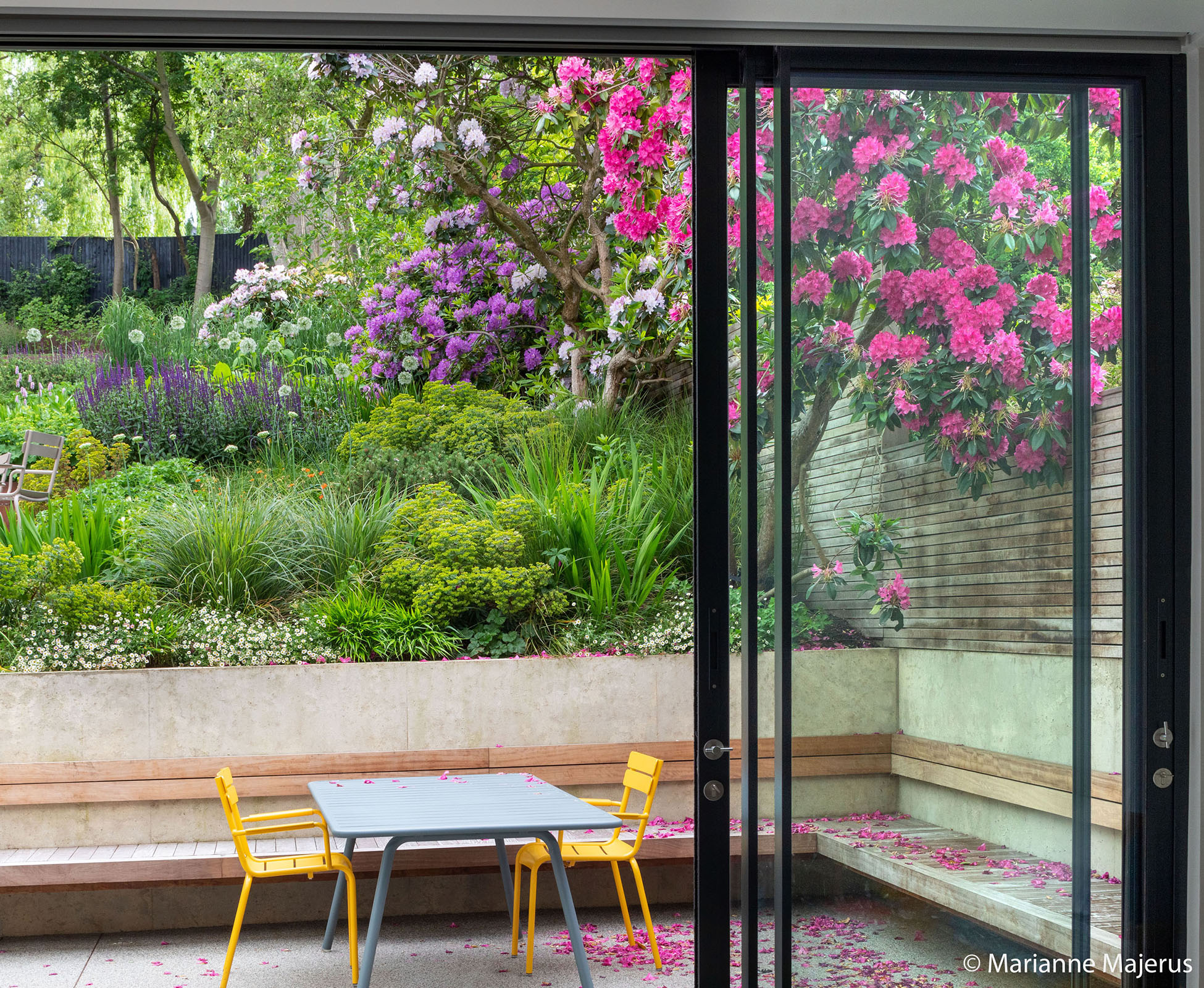 Stunning view of the patio with floating hardwood bench  from the indoor dining area. Plants cascade down the slope in the distance of this Muswell Hill garden.