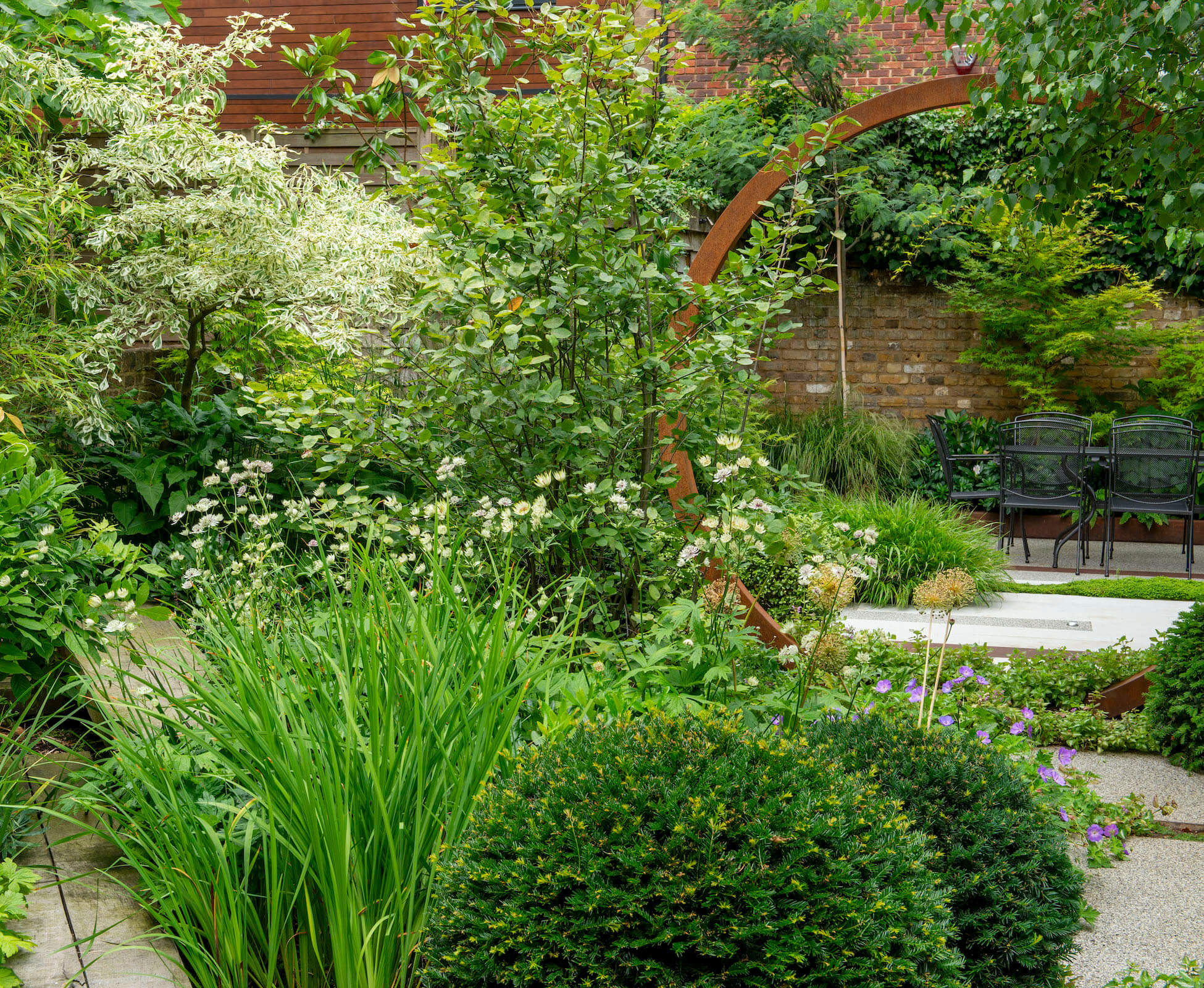 The vertical leaves of the Iris, are carefully balanced by the yew domes, with airy Astrantia dancing behind them to create a woven tapestry of textural foliage.