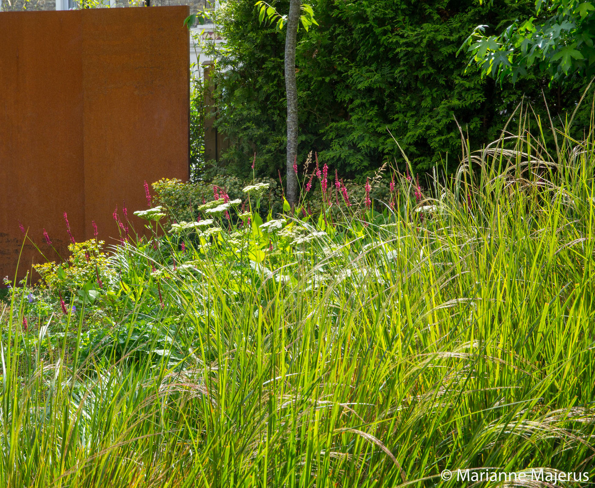Corten steel feature panel and herbaceous planting form a nice balance of colours in this North London Garden.