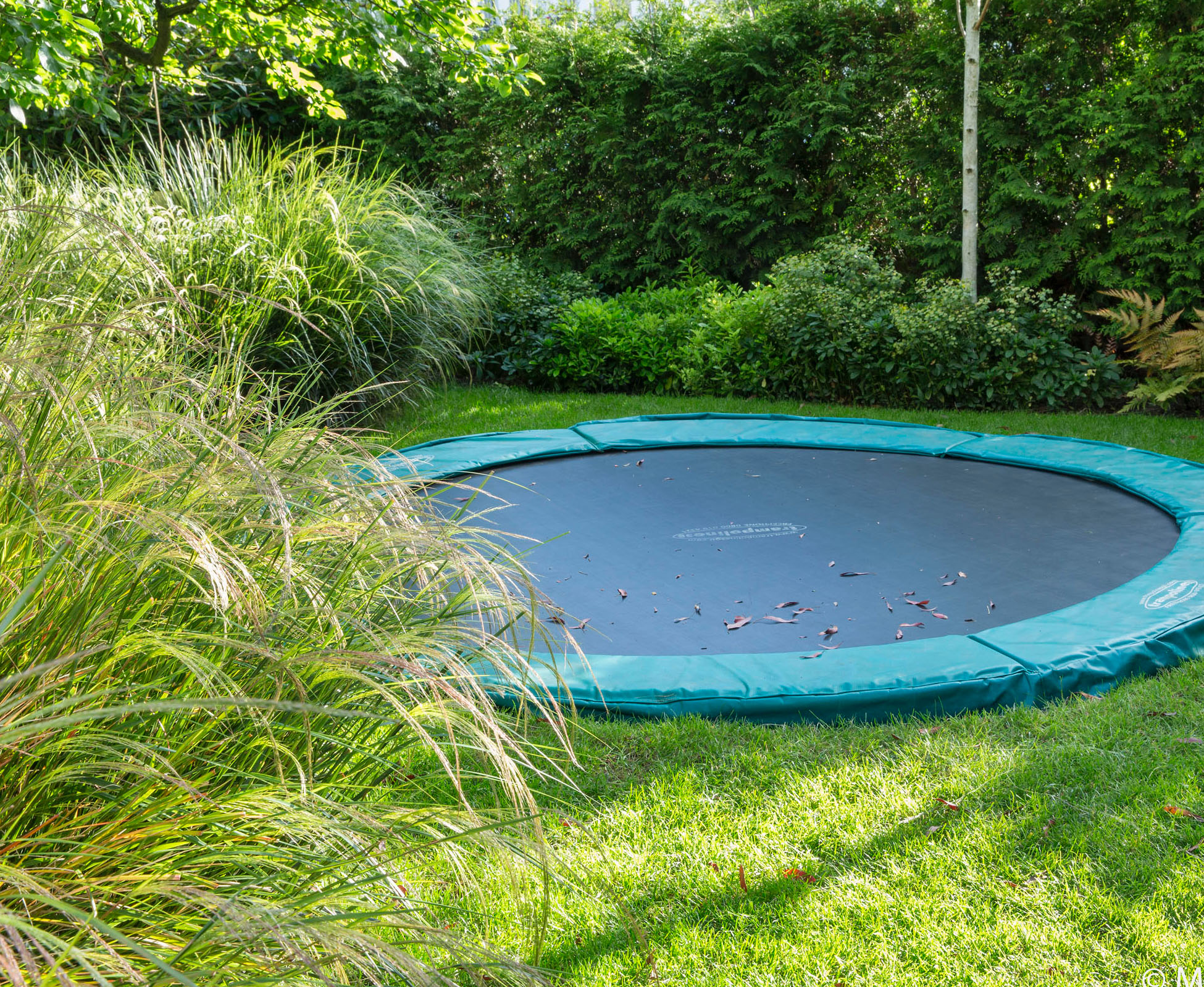 A trampoline is hidden between a soft mount of grasses, Anemanthele lessoniana, and an existing Apple tree. It has been buried to make it even more discreet and for ease of maintenance.