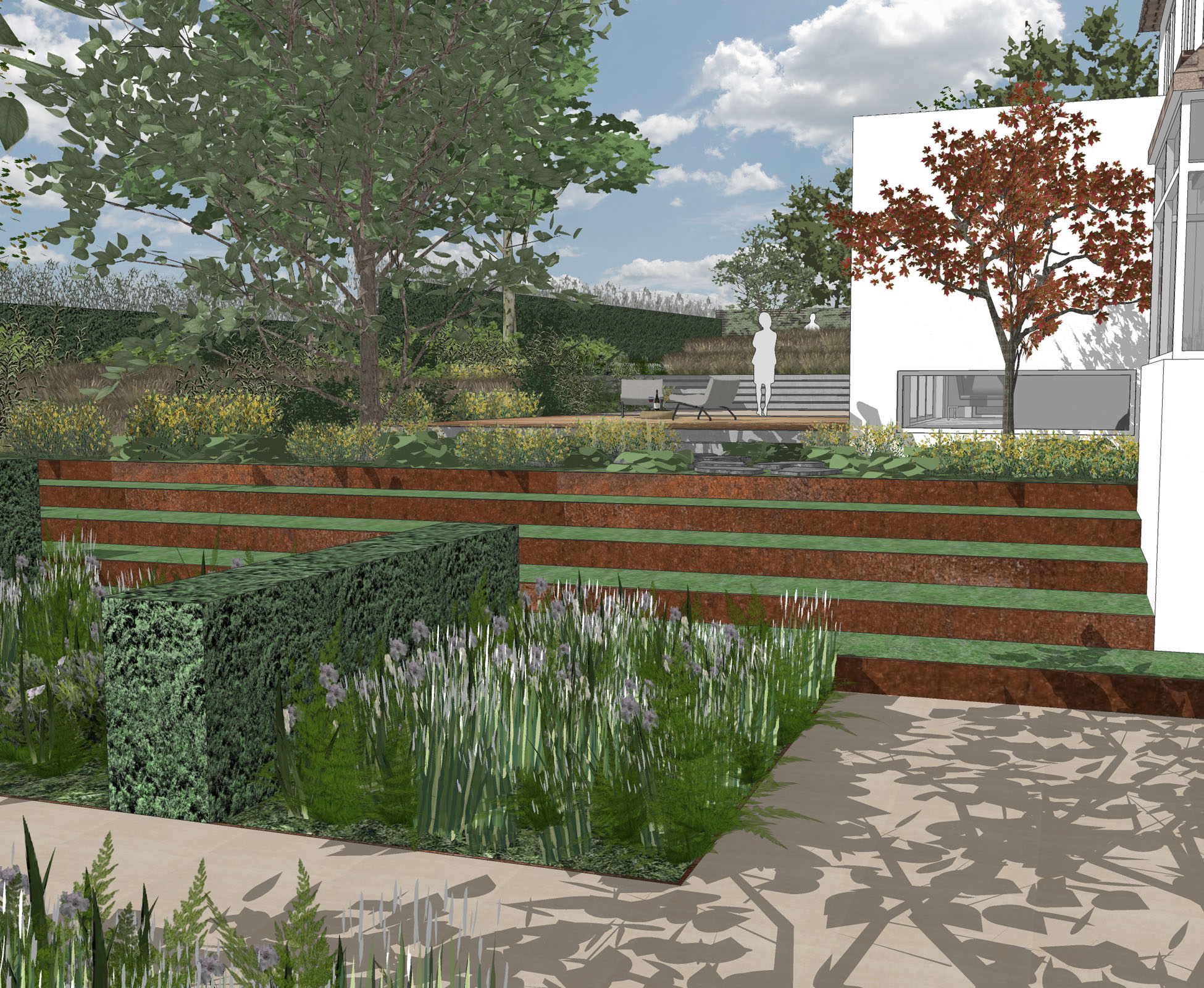 A 3D visual showing the entrance to this North London garden with the corten steel and turf step, leading to the Acer palmatum ‘Atropurpureum’. We can understand well the structure in the borders, using yew hedges, Taxus baccata, as a separation between the herbaceous. 