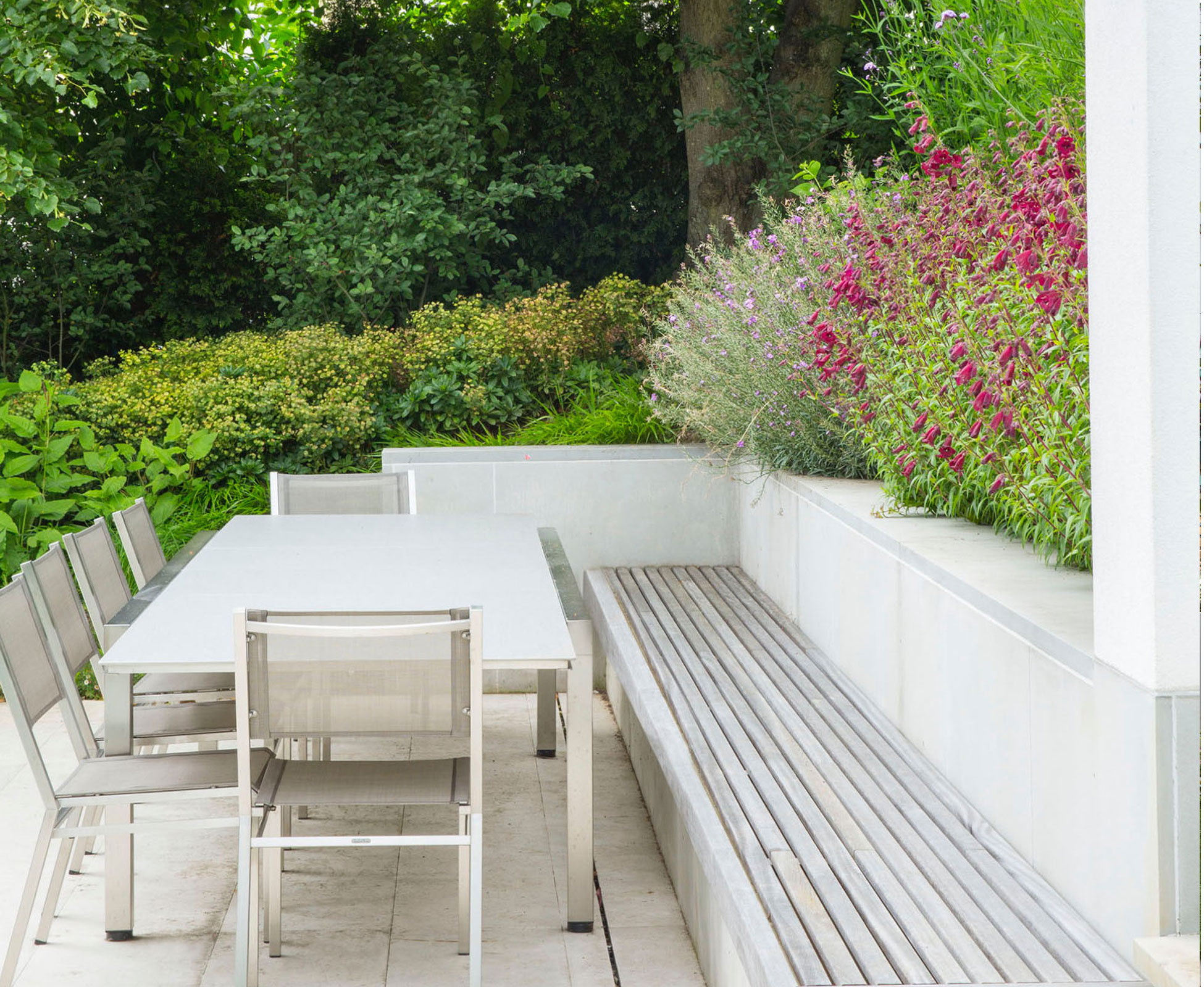 The strong architecture of the house with its white rendered walls and built in ipe bench are softened by the planting overhanging towards the seating area. 